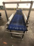 TS DESIGNS S/S CONVEYOR, S/S WASHDOWN MOTOR, LENZE AC TECH VFD, APPX DIM. L108'' X W16''