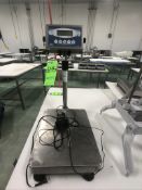 (3) S/S COUNTERTOP PLATFORM SCALE, MODEL SK-5000WP