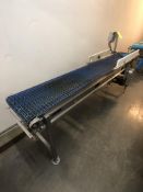 CONVEYOR W/ S/S WASHDOWN MOTOR, LENZE TECH AC VFD, APPX DIM. L109'' X W16''