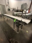 S/S CONVEYOR, S/S WASHDOWN MOTOR, APPX. DIM L125'' X W15''