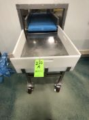 PORTABLE S/S TABLE MOUNTED ON CASTERS W/ PLASTIC GUARDS, APPX DIM. L36'' X W25''