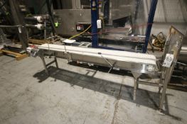 Straight Section of S/S Conveyor,