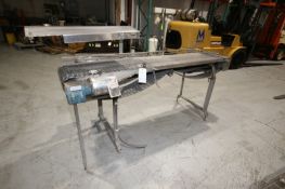 S/S Accumulation Conveyor, with (3) Aprox. 6" W Conveyor Chains, Overall Dims.: