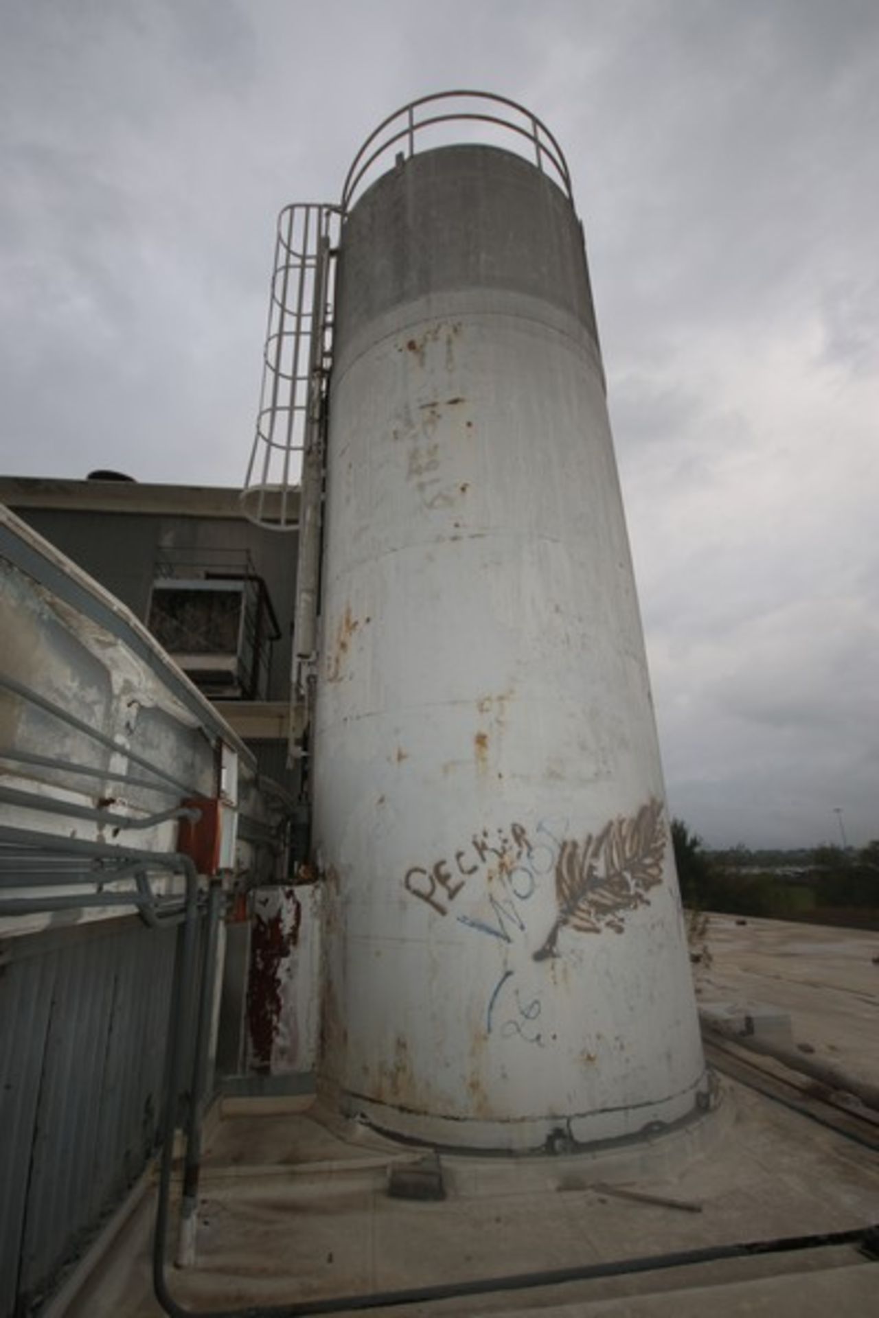 Aprox. 20,000 Gal. S/S Silo, Silo Dims.: Aprox. 11' Dia. x 30' Tall, with Inverted Dish Bottom, - Image 4 of 14
