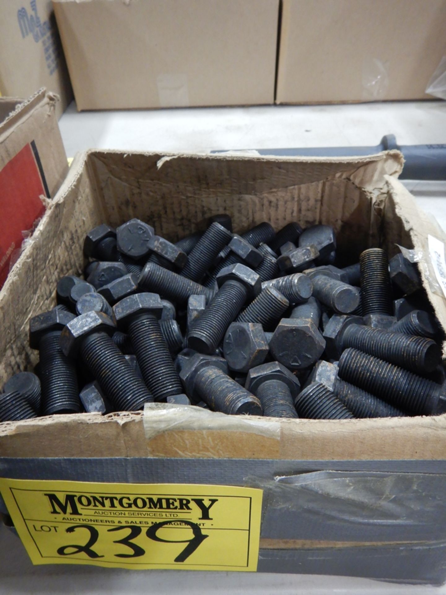 L/O BLACK 2" FINE THREAD BOLTS