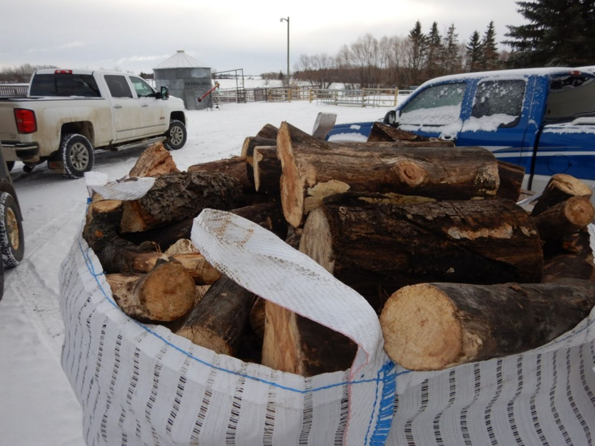 LARGE TOTE OF SPLIT POPLAR FIREWOOD