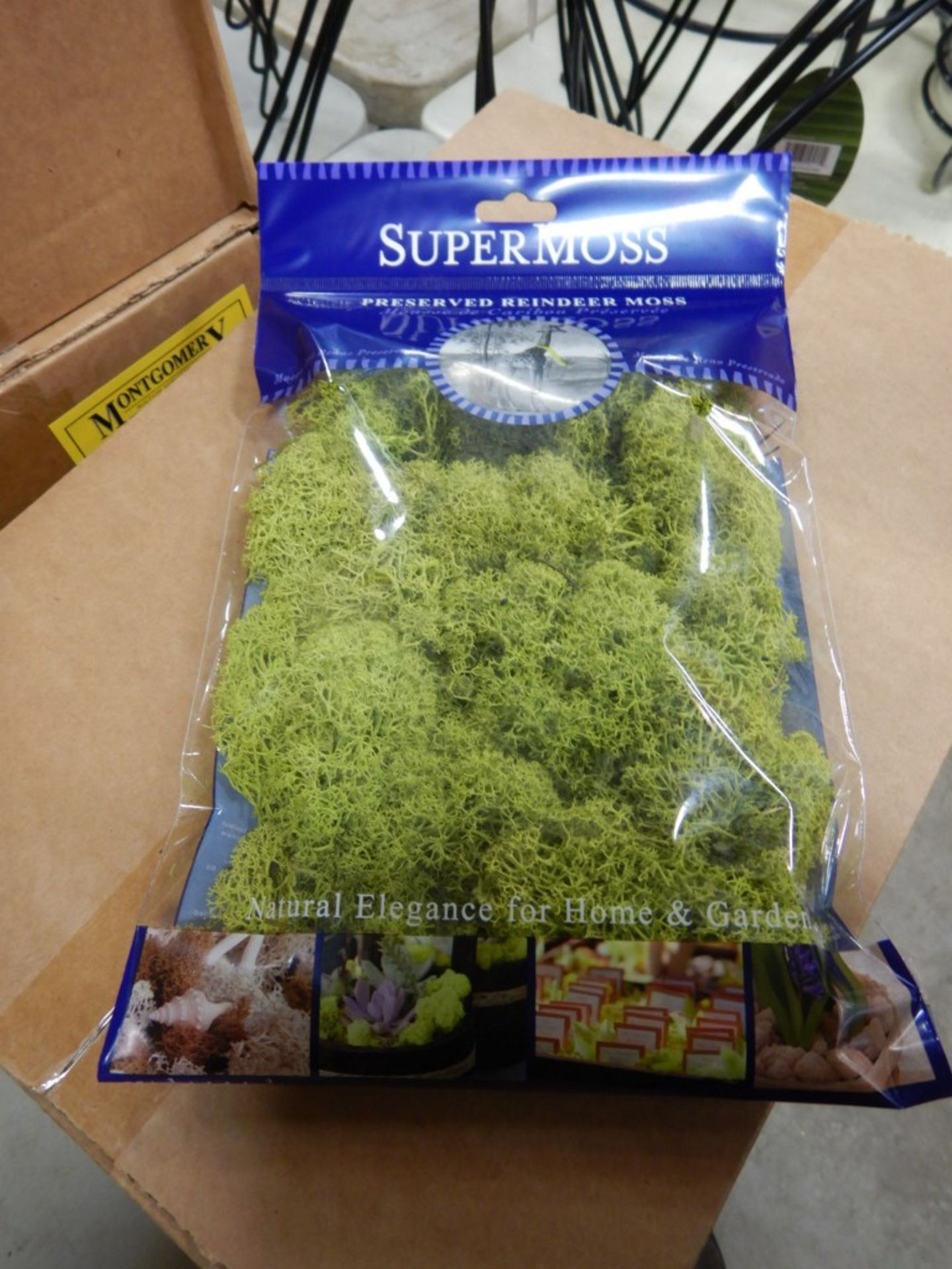 L/O 3 CASES OF 12 BAGS PRESERVED REINDEER MOSS - Image 2 of 4