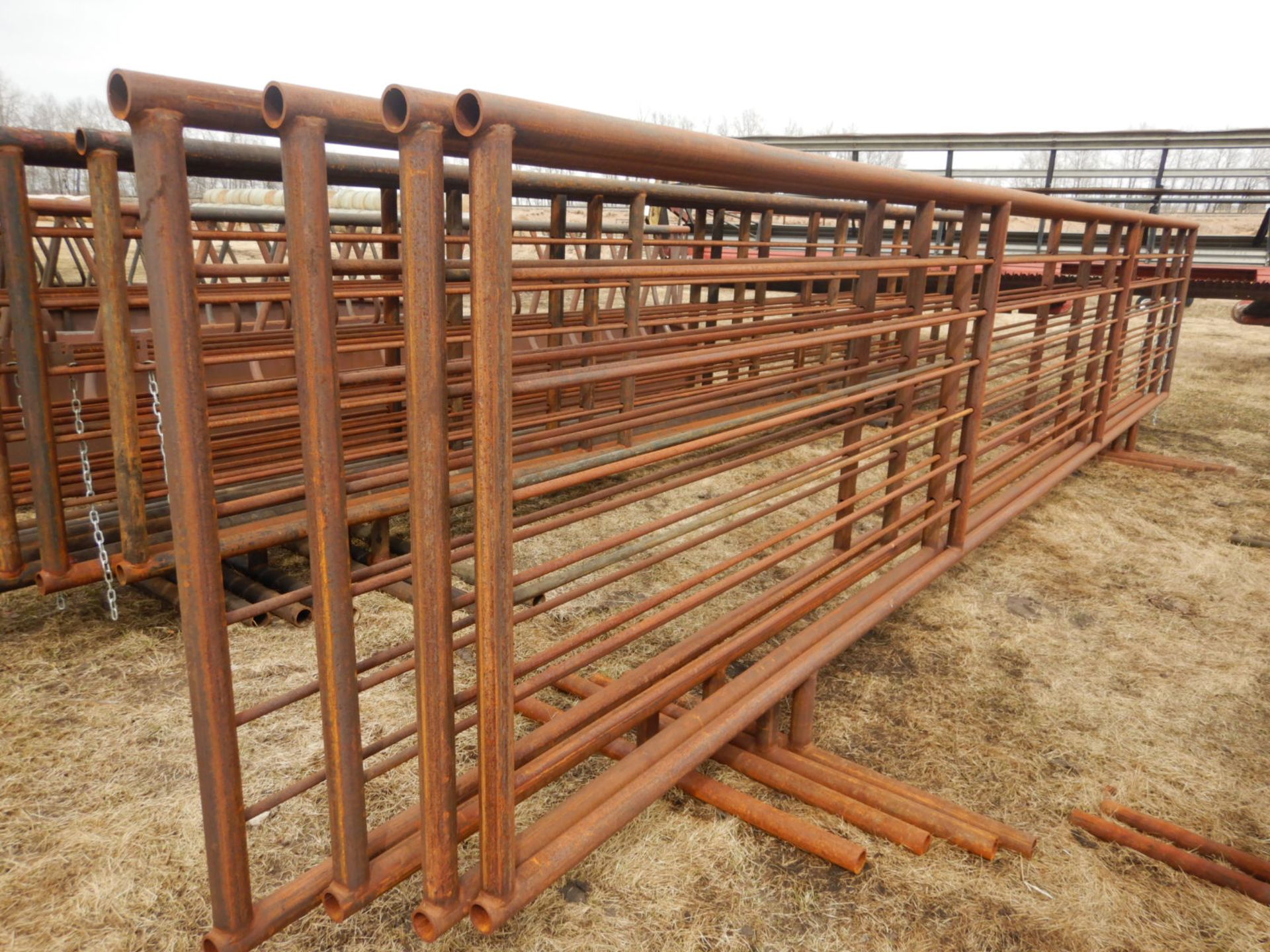 L/O 4-24' 2 7/8 5 BAR FREE STANDING LIVESTOCK PANEL - 2 UPRIGHTS