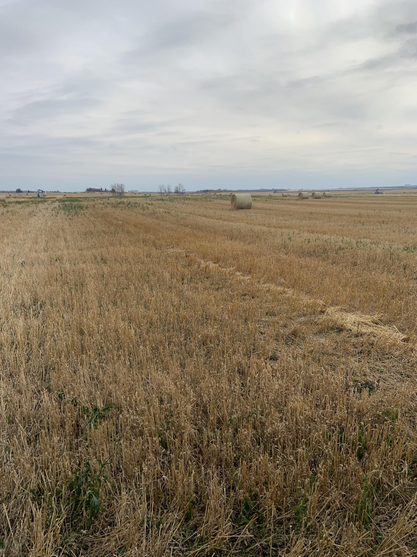 160+/- Total Acres NW 8-56-20-W4, Bruderheim, AB, consisting of Crop Land, Surface Lease & Yard Site - Image 29 of 34