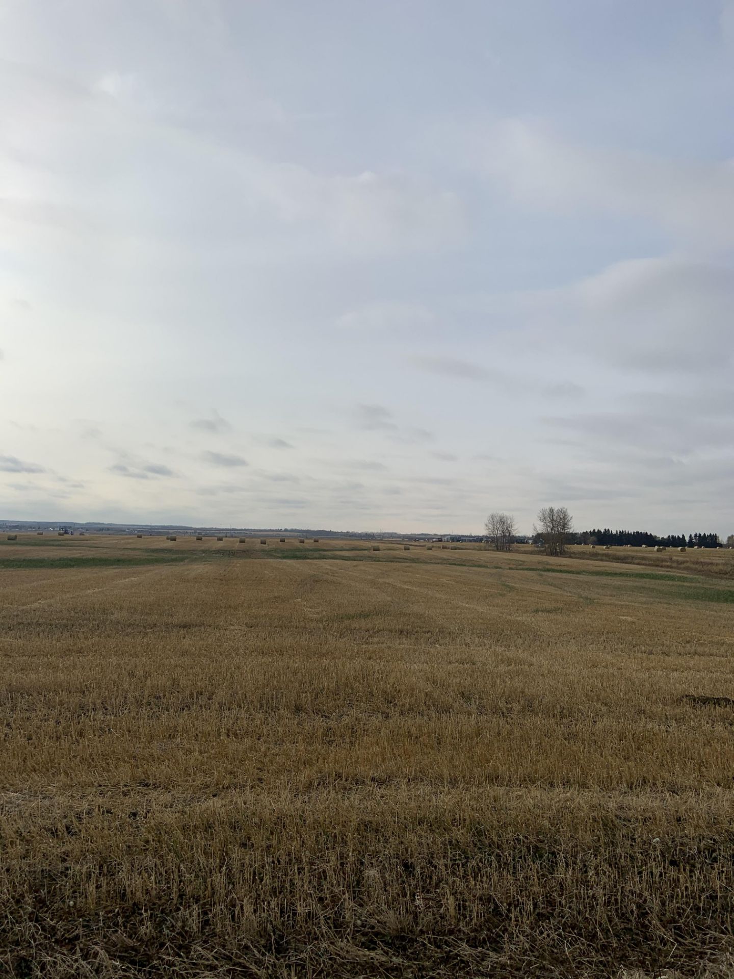 160+/- Total Acres NW 8-56-20-W4, Bruderheim, AB, consisting of Crop Land, Surface Lease & Yard Site - Image 27 of 34