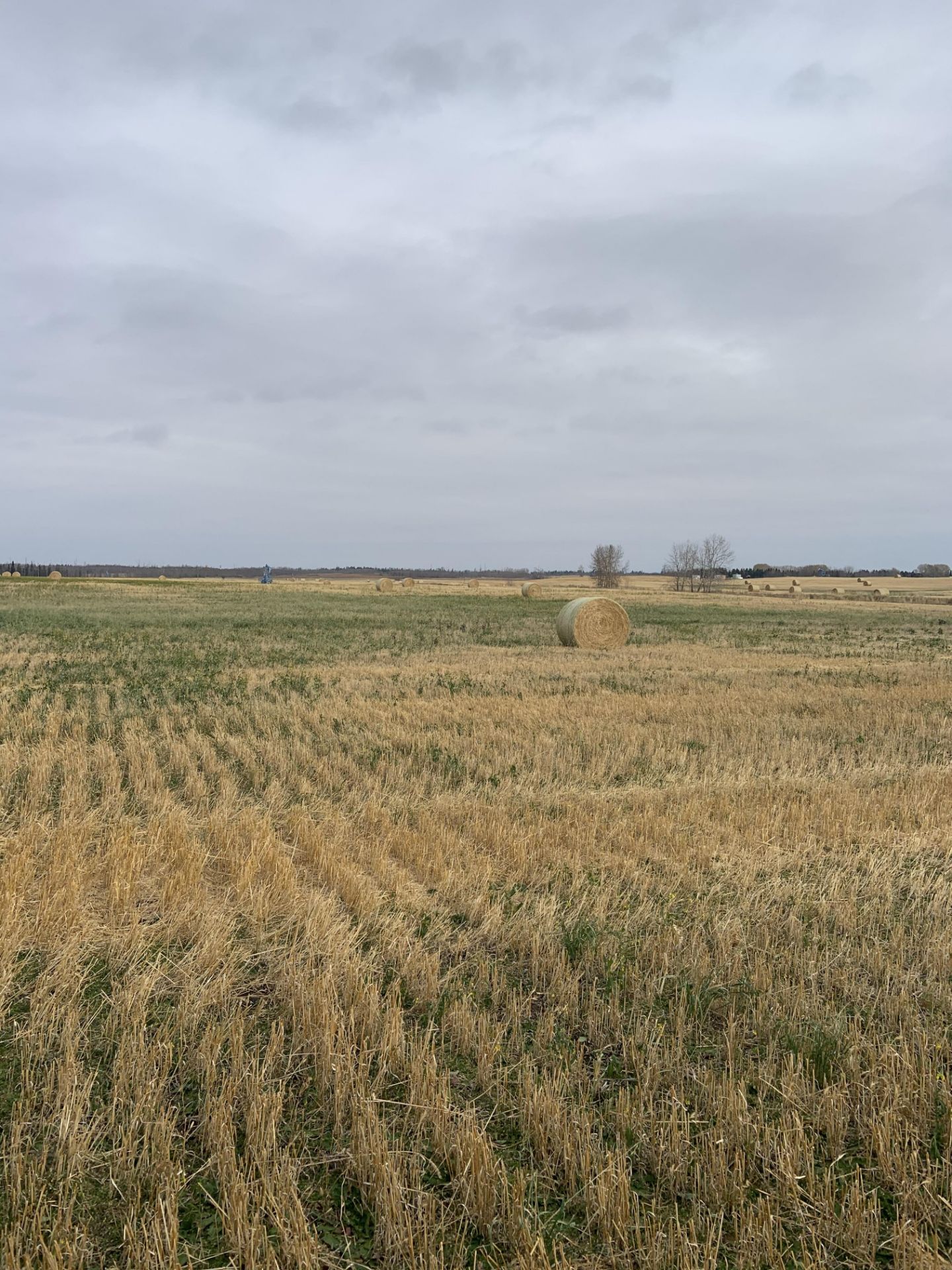 160+/- Total Acres NW 8-56-20-W4, Bruderheim, AB, consisting of Crop Land, Surface Lease & Yard Site - Image 30 of 34