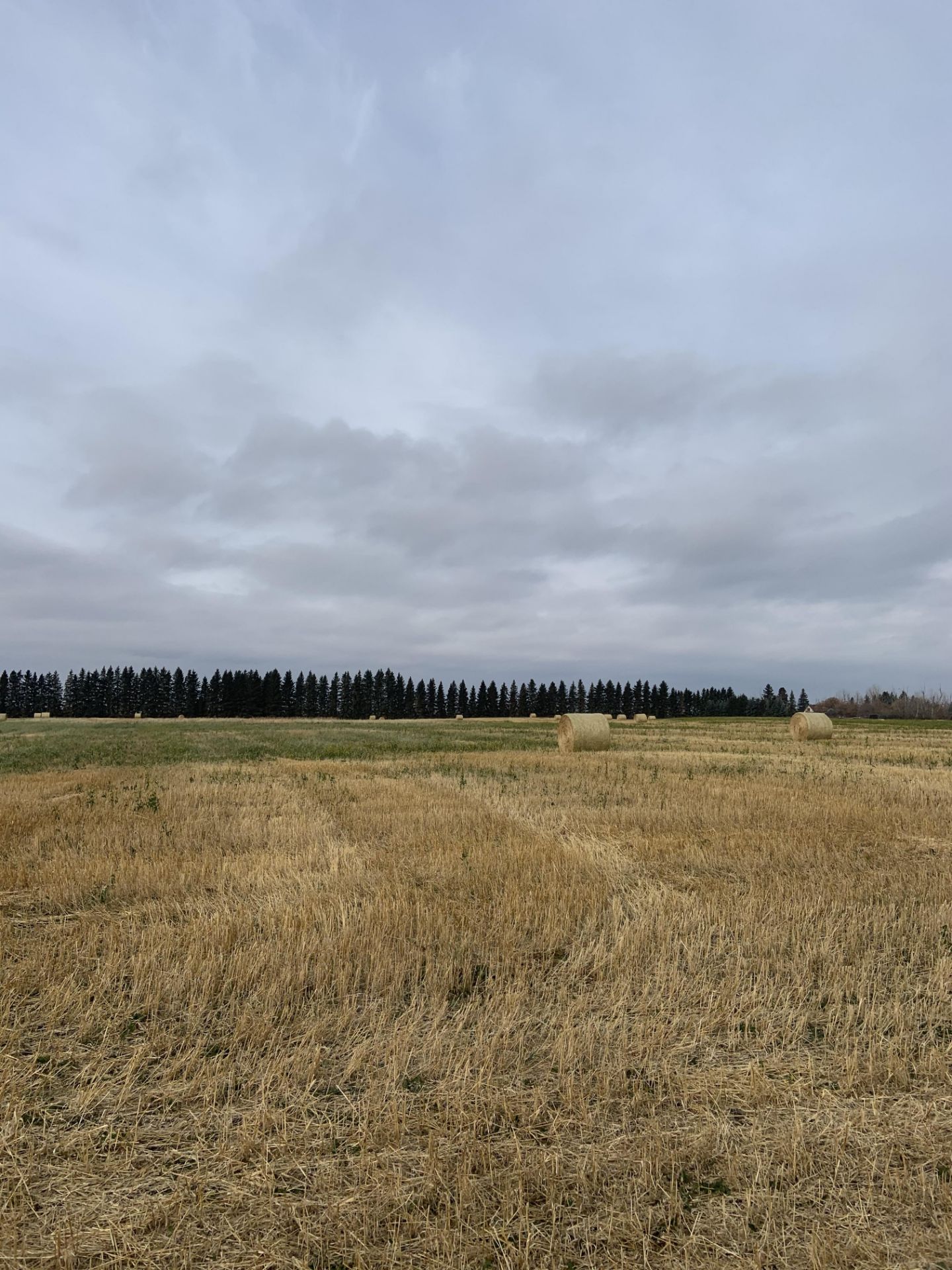 160+/- Total Acres NW 8-56-20-W4, Bruderheim, AB, consisting of Crop Land, Surface Lease & Yard Site - Image 26 of 34