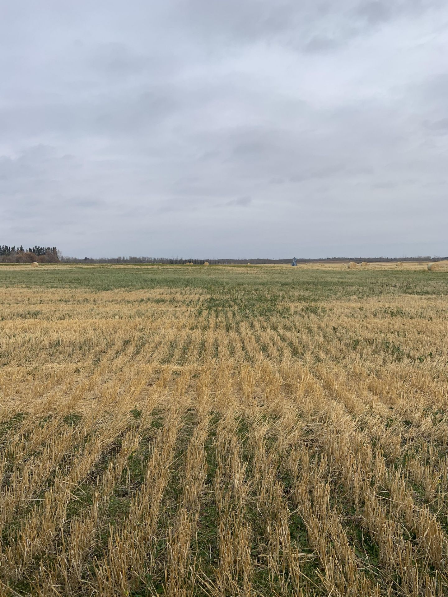 160+/- Total Acres NW 8-56-20-W4, Bruderheim, AB, consisting of Crop Land, Surface Lease & Yard Site - Image 31 of 34