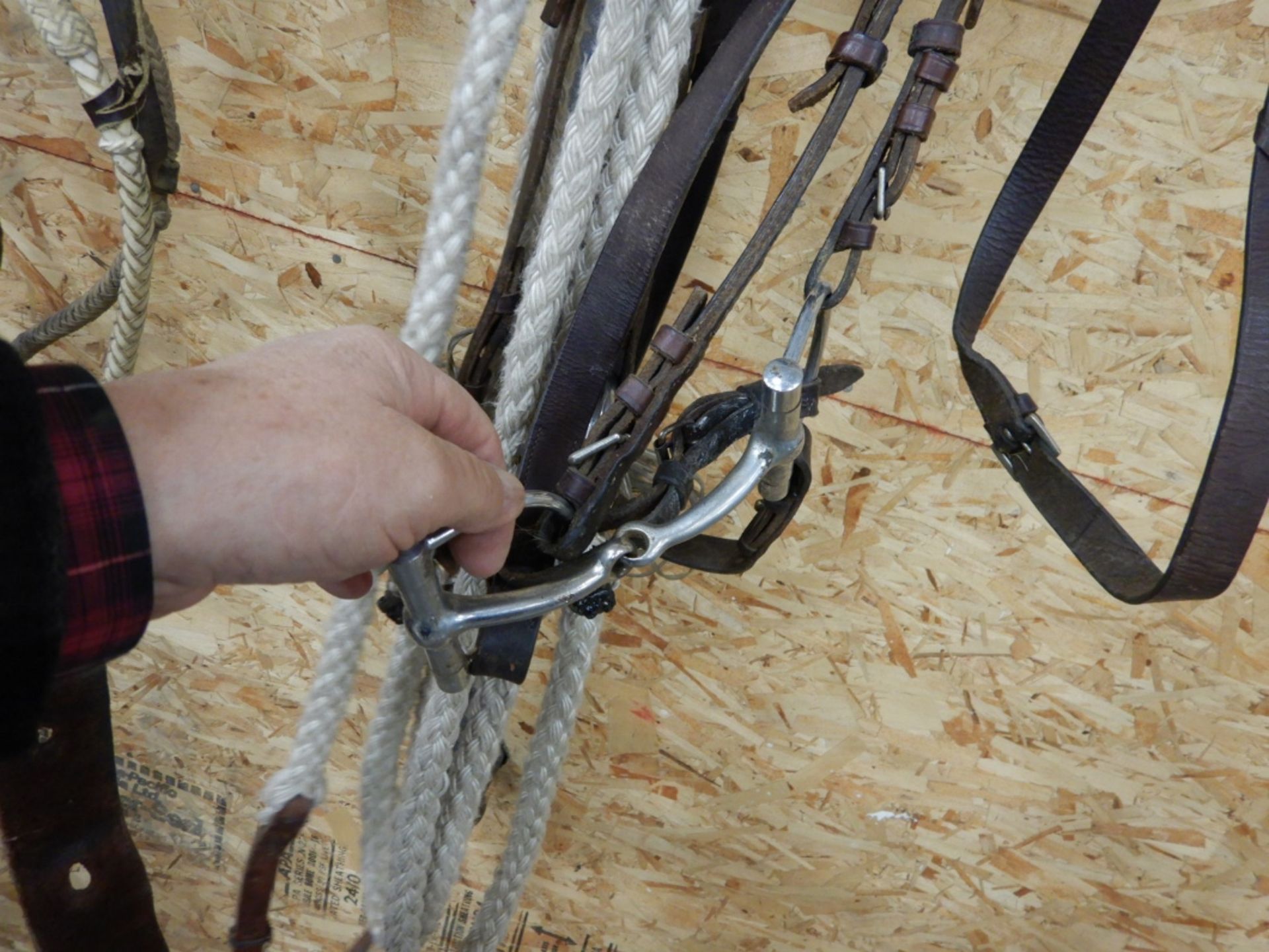 EAR BRIDLE W/ TWISTED WIRE SNAFFLE, EAR BRIDLE W/ D-RING SNAFFLE - Image 2 of 3