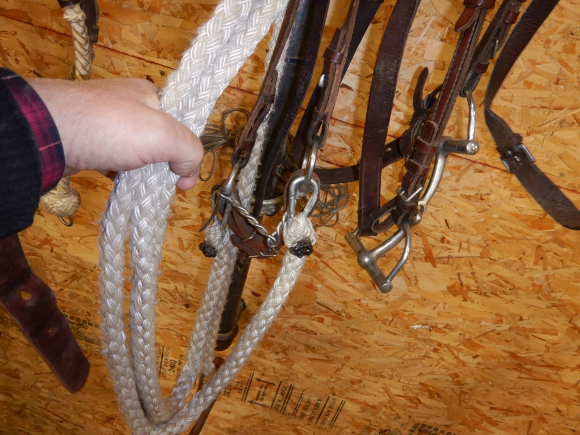 EAR BRIDLE W/ TWISTED WIRE SNAFFLE, EAR BRIDLE W/ D-RING SNAFFLE - Image 3 of 3