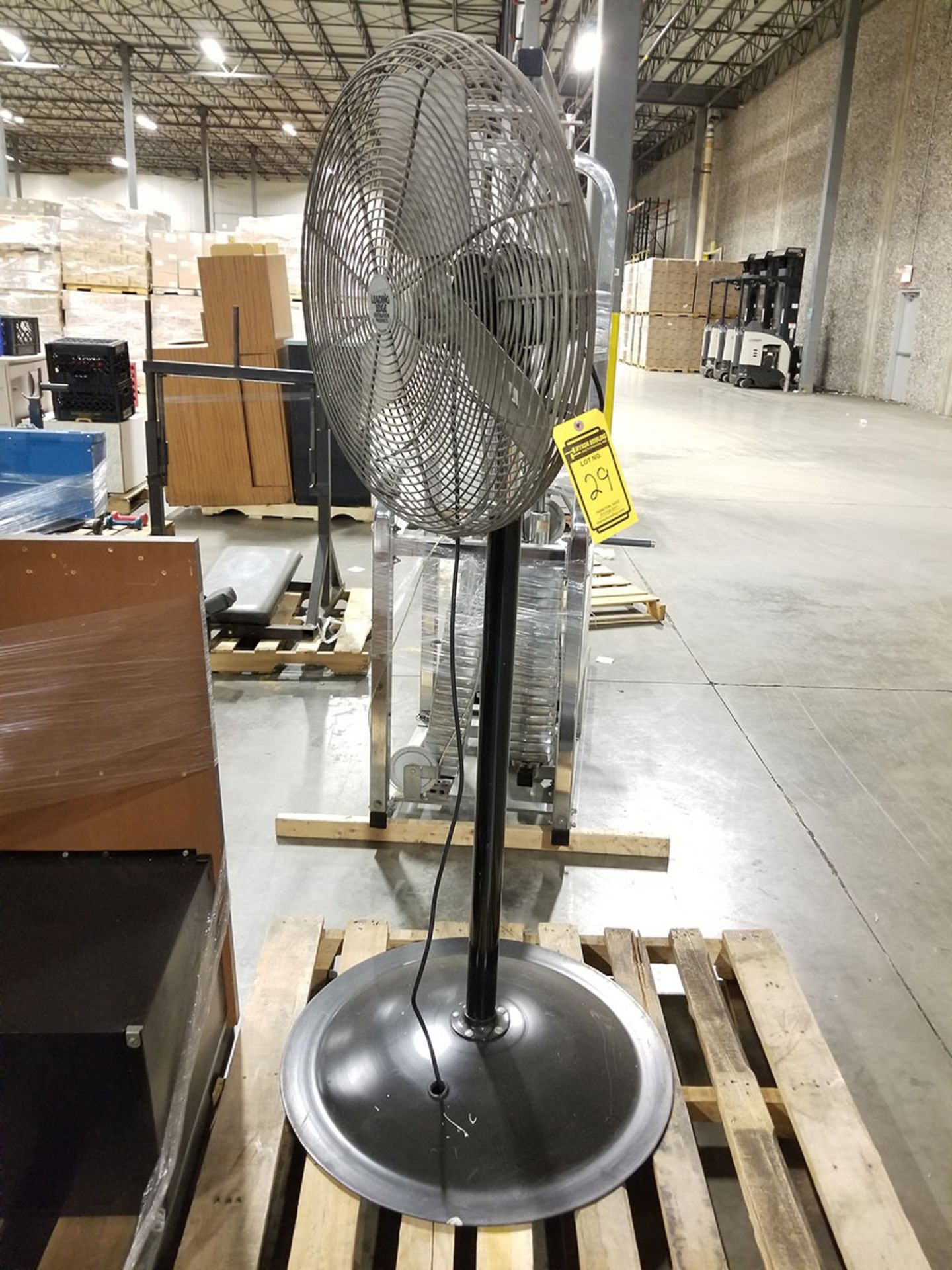 (4-6) ASSORTED PEDESTAL FANS – METAL & PLASTIC – 12’’ TO 24’’ - Image 8 of 9