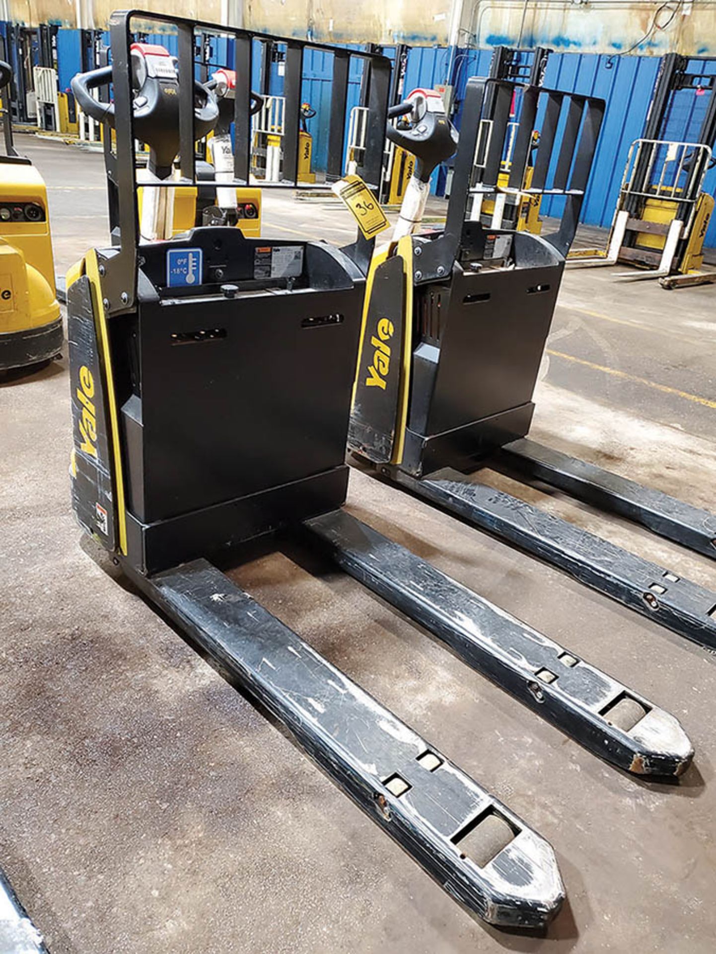 2019 YALE 4,500 LB. ELECTRIC PALLET JACK, MODEL MPB045VGN24T2646, 24-VOLT, TYPE E, 440 A.H., 46’’ - Image 3 of 9