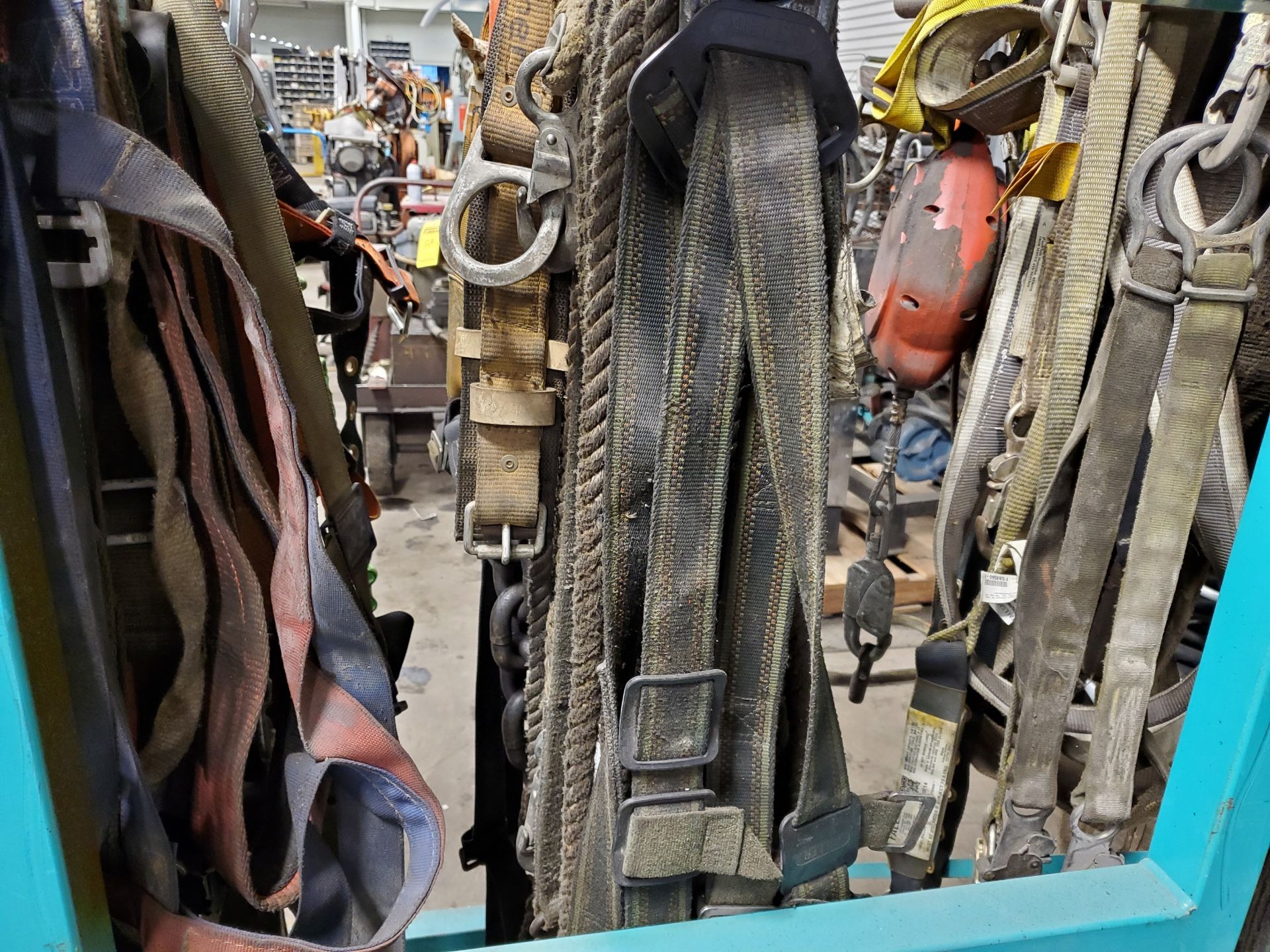 ASSORTED SAFETY HARNESSES, FALL PROTECTION (RACK NOT INCLUDED) - Image 5 of 5