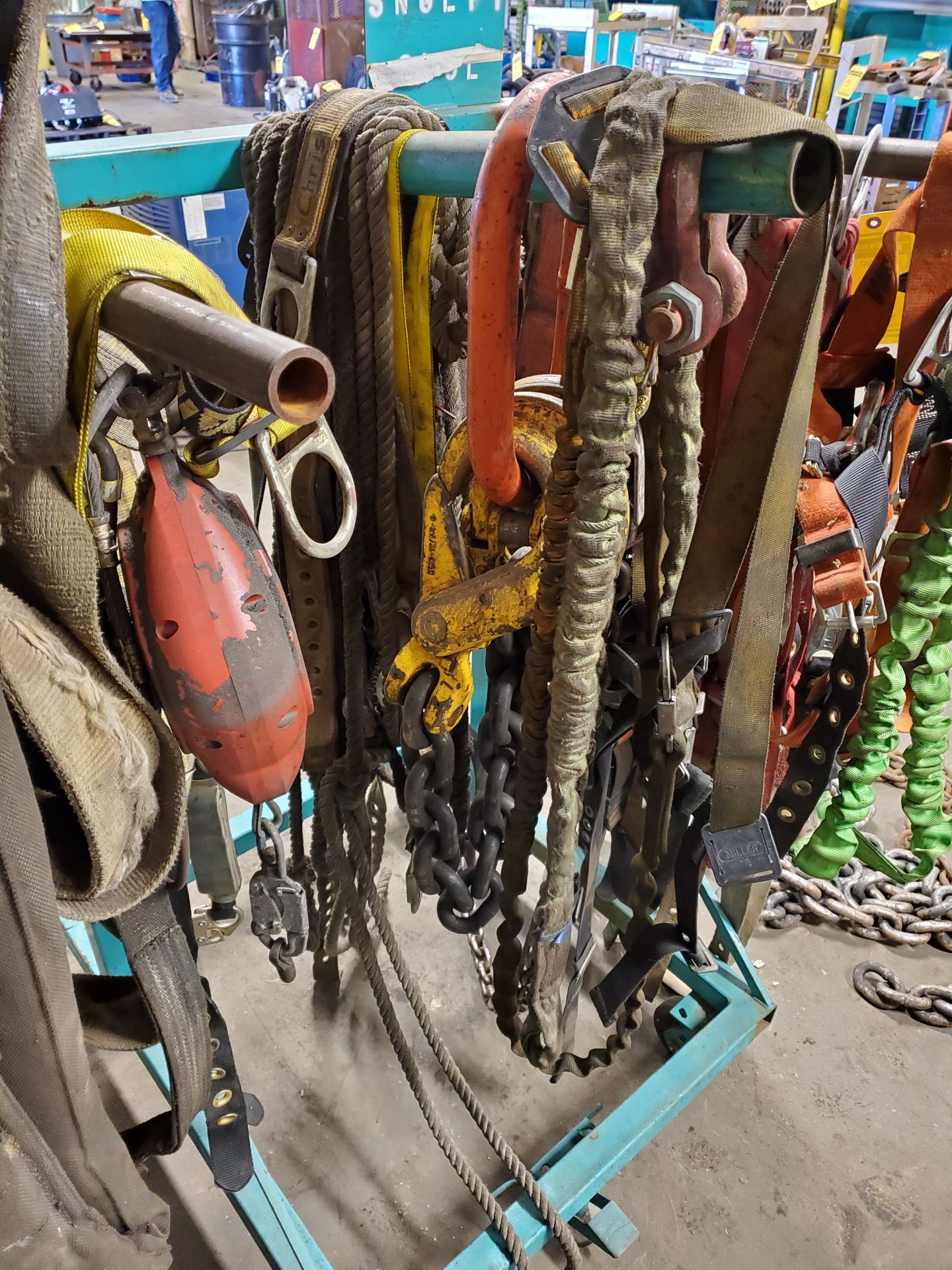 ASSORTED SAFETY HARNESSES, FALL PROTECTION (RACK NOT INCLUDED) - Image 2 of 5