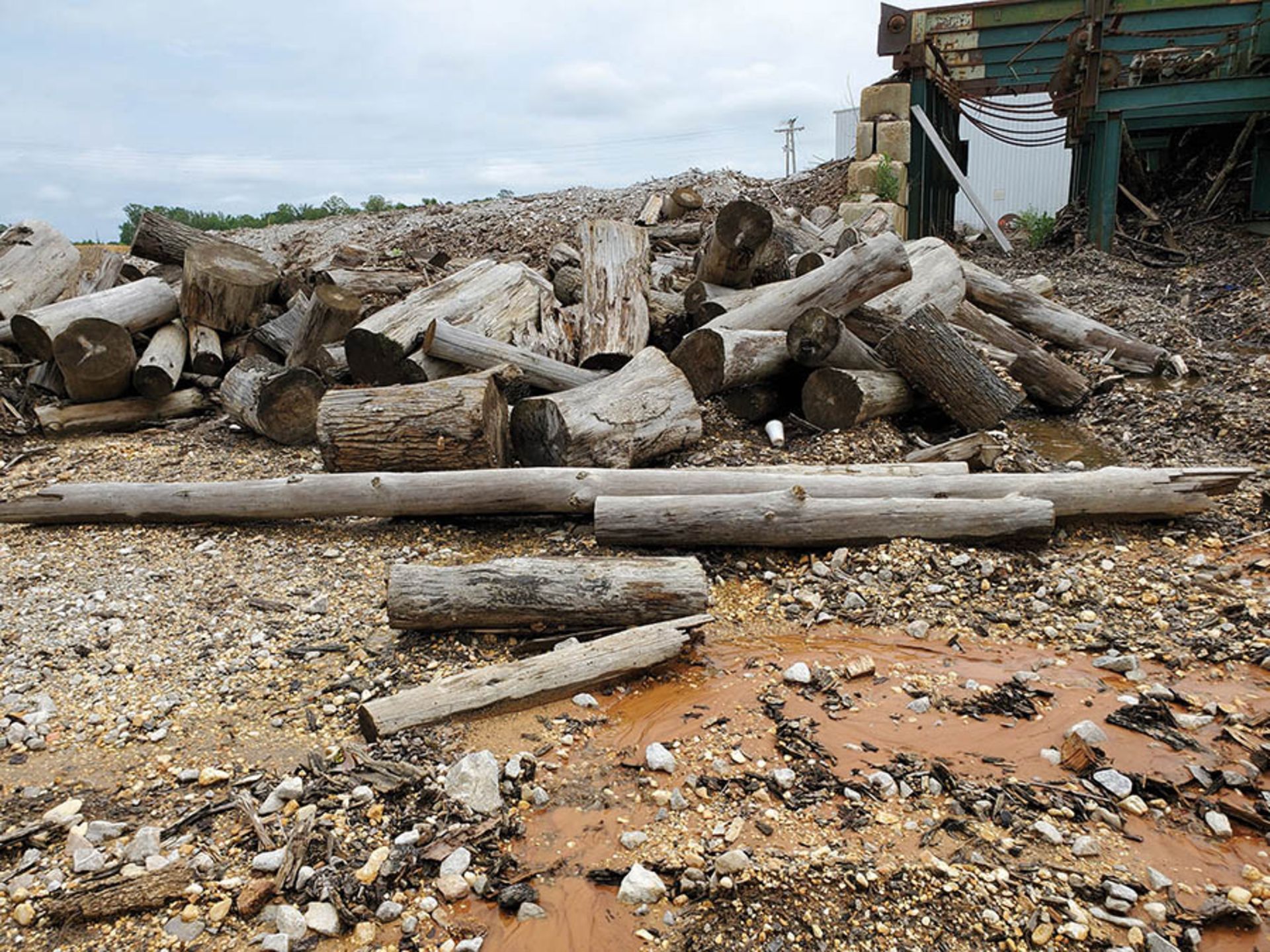 REMAINING WOOD ON PROPERTY - STUMPS, LOGS, CUT OFFS - Image 8 of 16