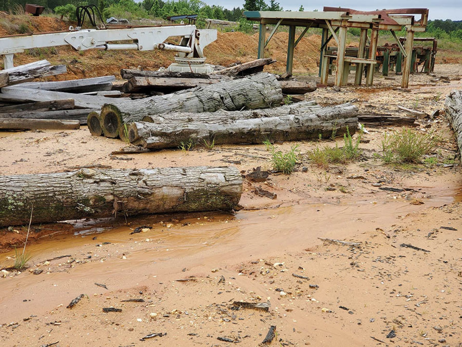 REMAINING WOOD ON PROPERTY - STUMPS, LOGS, CUT OFFS - Image 14 of 16