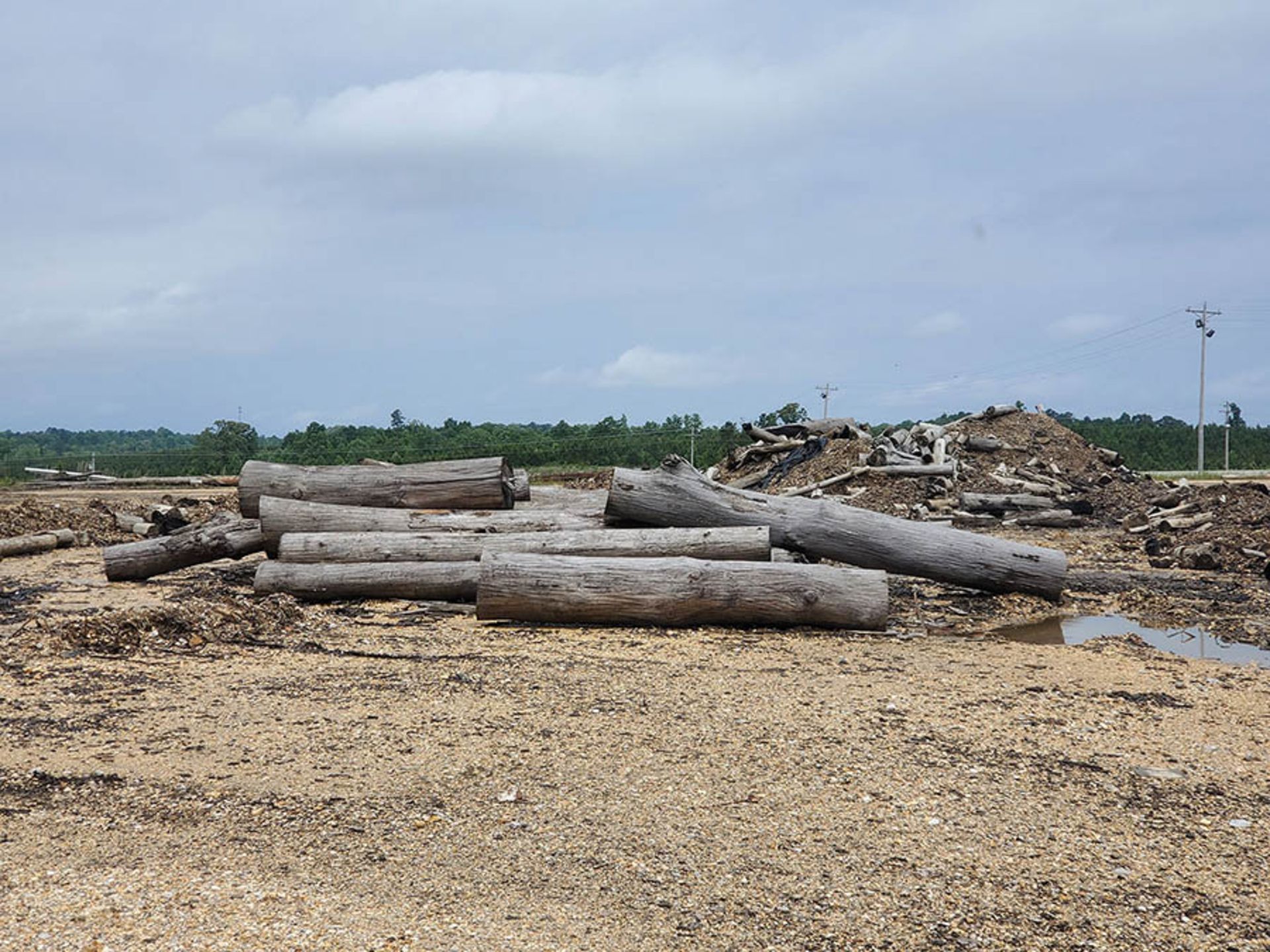 REMAINING WOOD ON PROPERTY - STUMPS, LOGS, CUT OFFS - Image 2 of 16