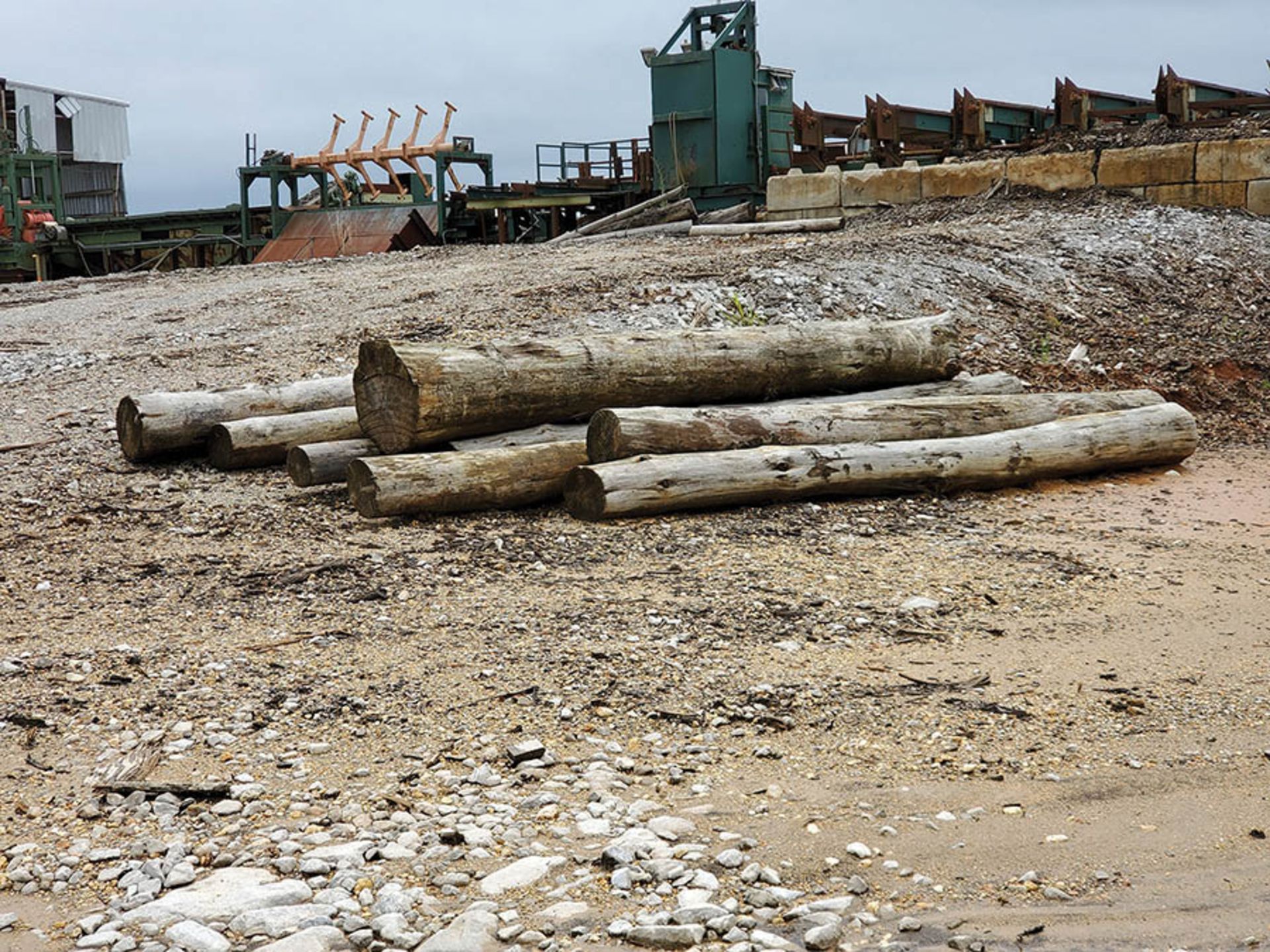 REMAINING WOOD ON PROPERTY - STUMPS, LOGS, CUT OFFS - Image 4 of 16