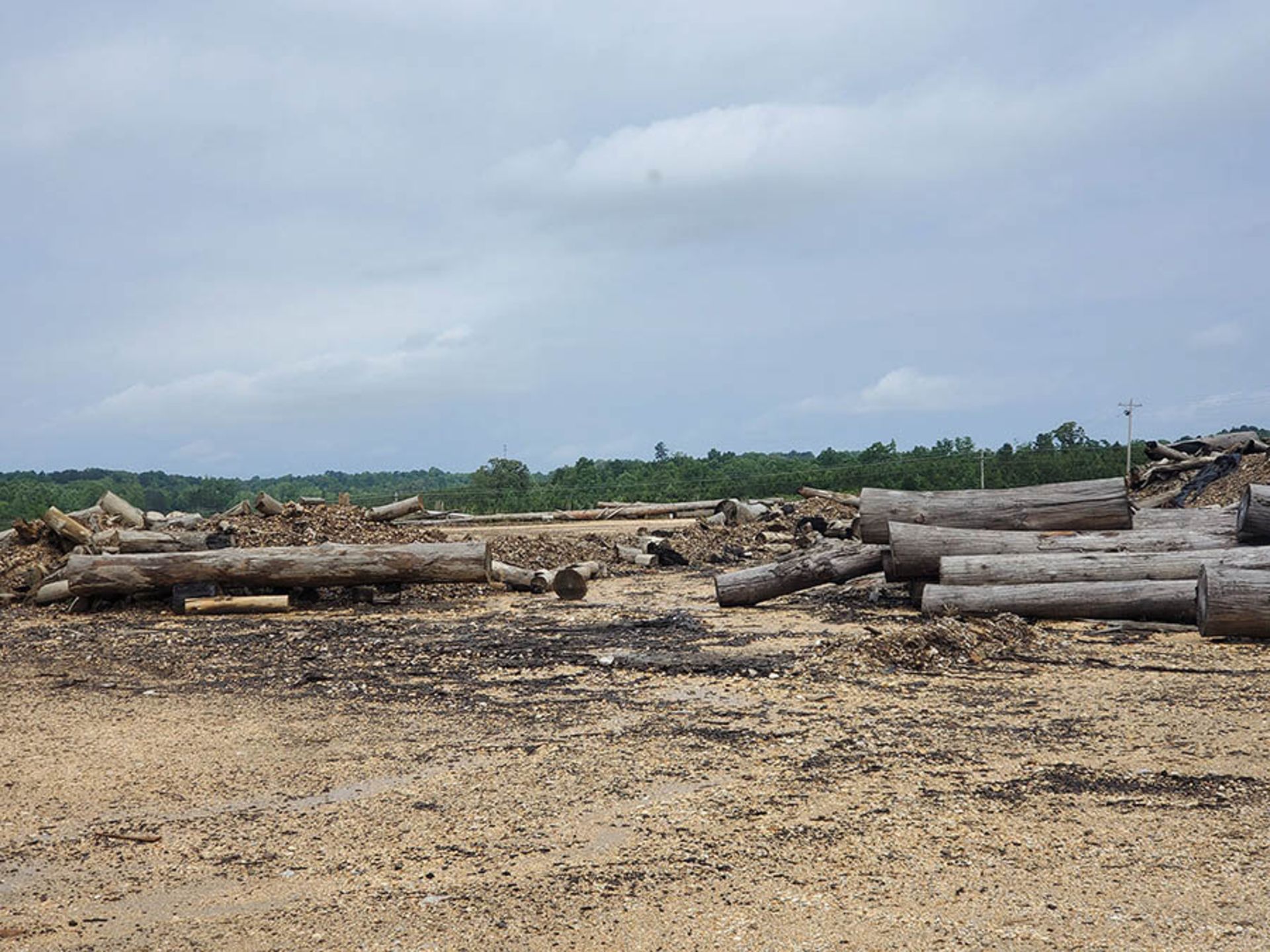 REMAINING WOOD ON PROPERTY - STUMPS, LOGS, CUT OFFS - Image 3 of 16