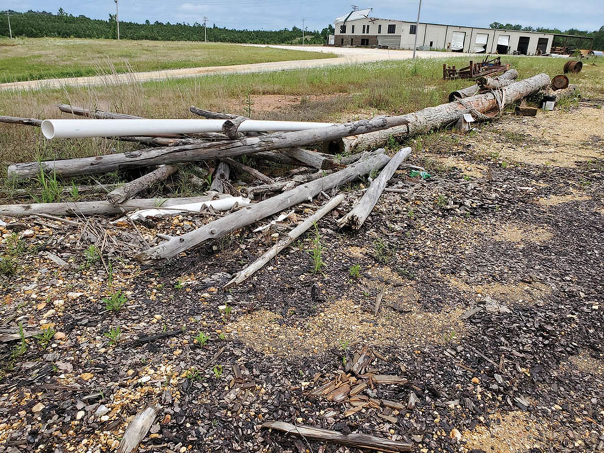 REMAINING WOOD ON PROPERTY - STUMPS, LOGS, CUT OFFS