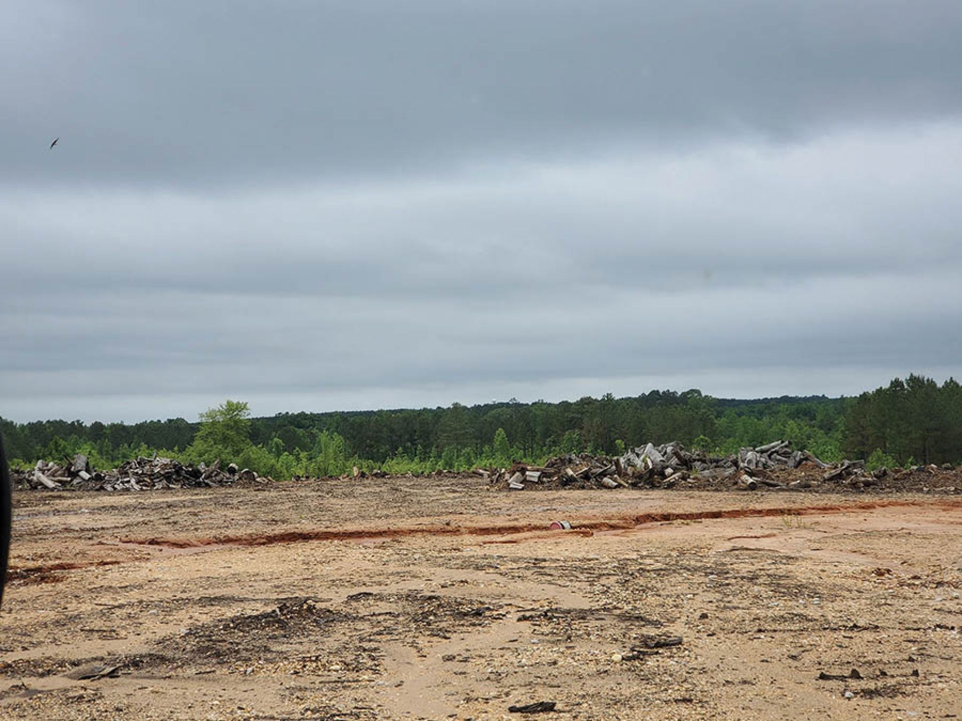 REMAINING WOOD ON PROPERTY - STUMPS, LOGS, CUT OFFS - Image 10 of 16