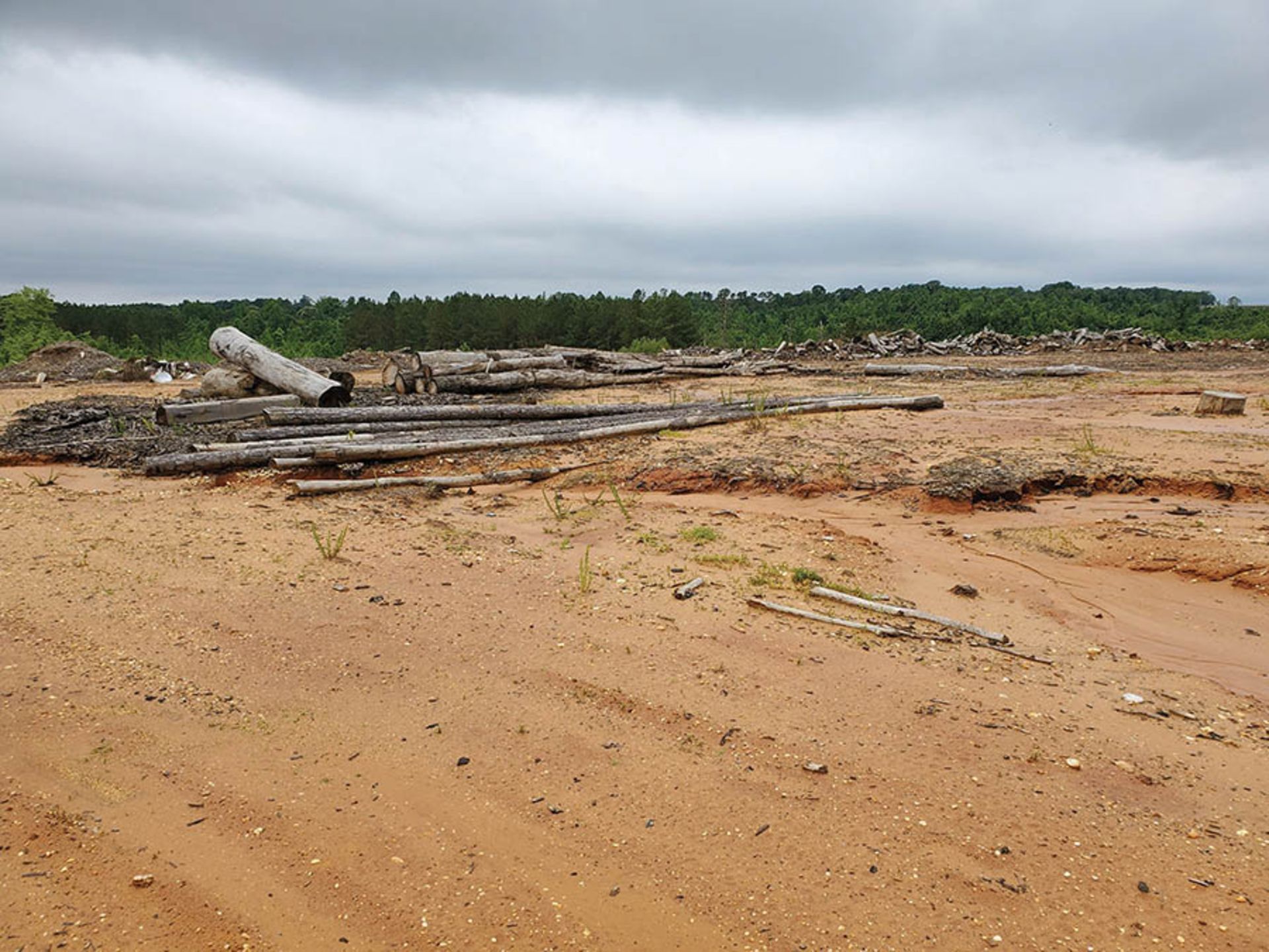 REMAINING WOOD ON PROPERTY - STUMPS, LOGS, CUT OFFS - Image 16 of 16