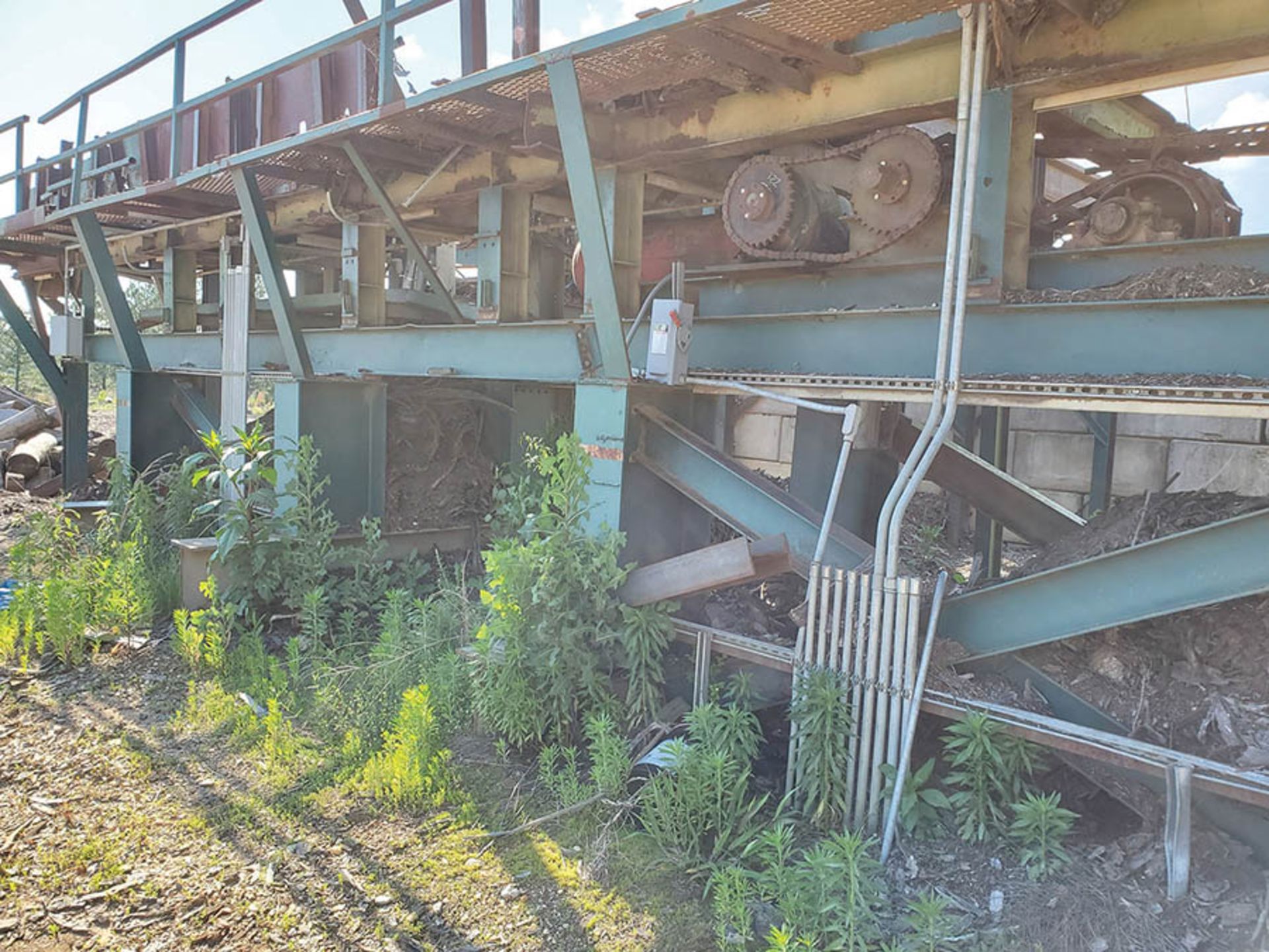 25' 6-STRAND LOG DECK TREE LENGTH 50' LOG TROUGH CONVEYOR W/110 BOX CHAIN - Image 3 of 21