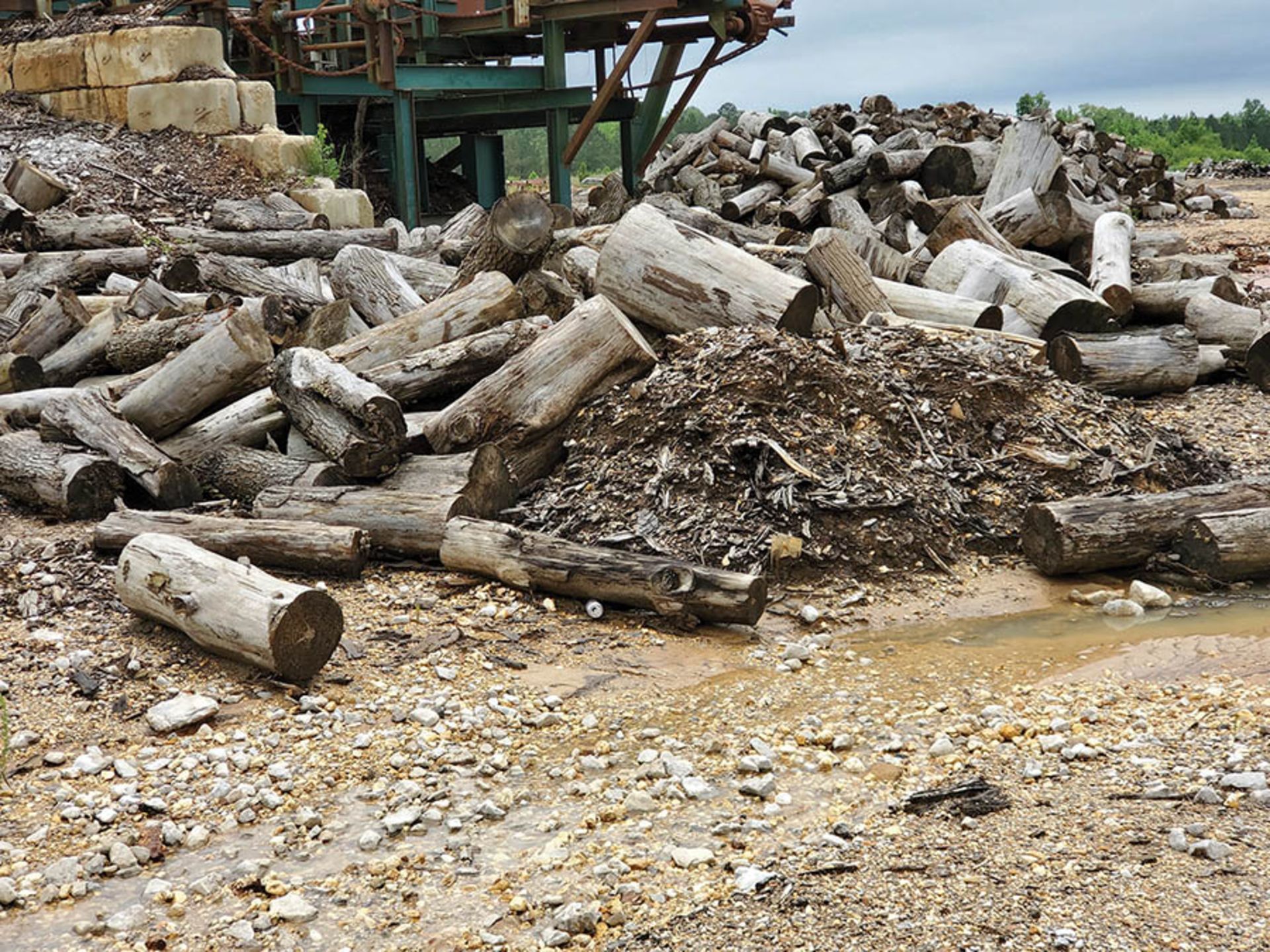 REMAINING WOOD ON PROPERTY - STUMPS, LOGS, CUT OFFS - Image 5 of 16