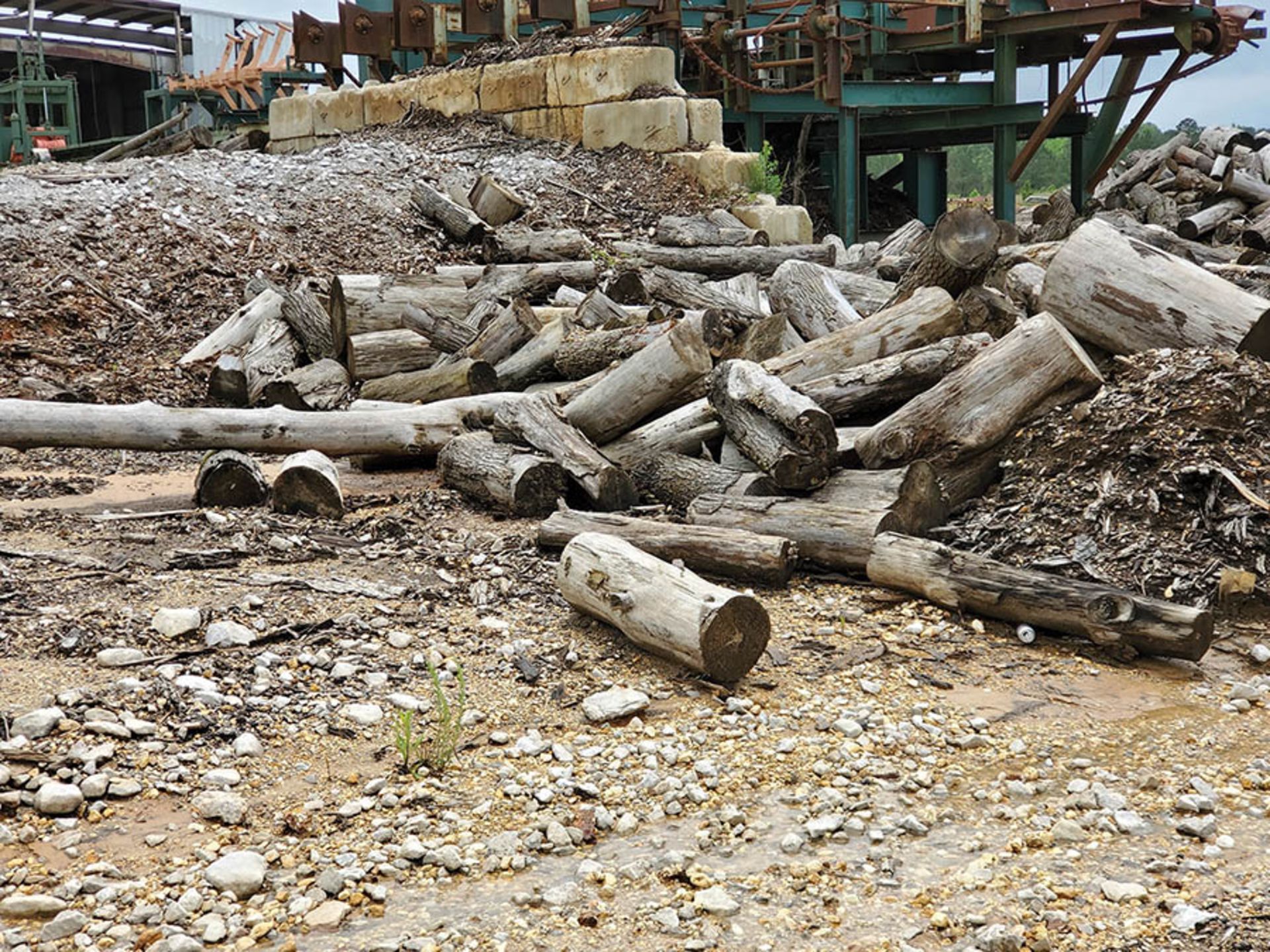 REMAINING WOOD ON PROPERTY - STUMPS, LOGS, CUT OFFS - Image 6 of 16