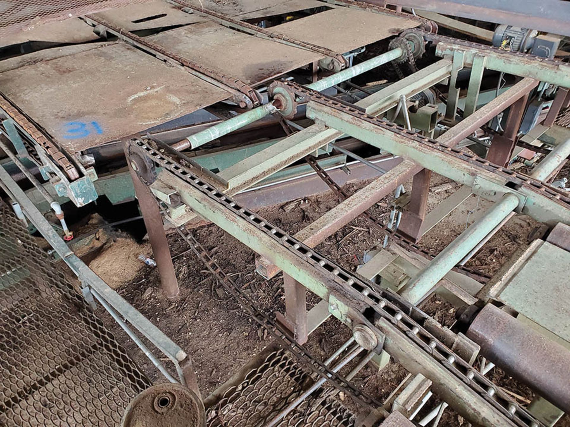 MIDDLE CONVEYOR - 4-STRAND TRANSFER DECK FROM PIONEER OUTFEED, ALL STEEL PLATE DECKING, 30'' WIDE - Image 17 of 24
