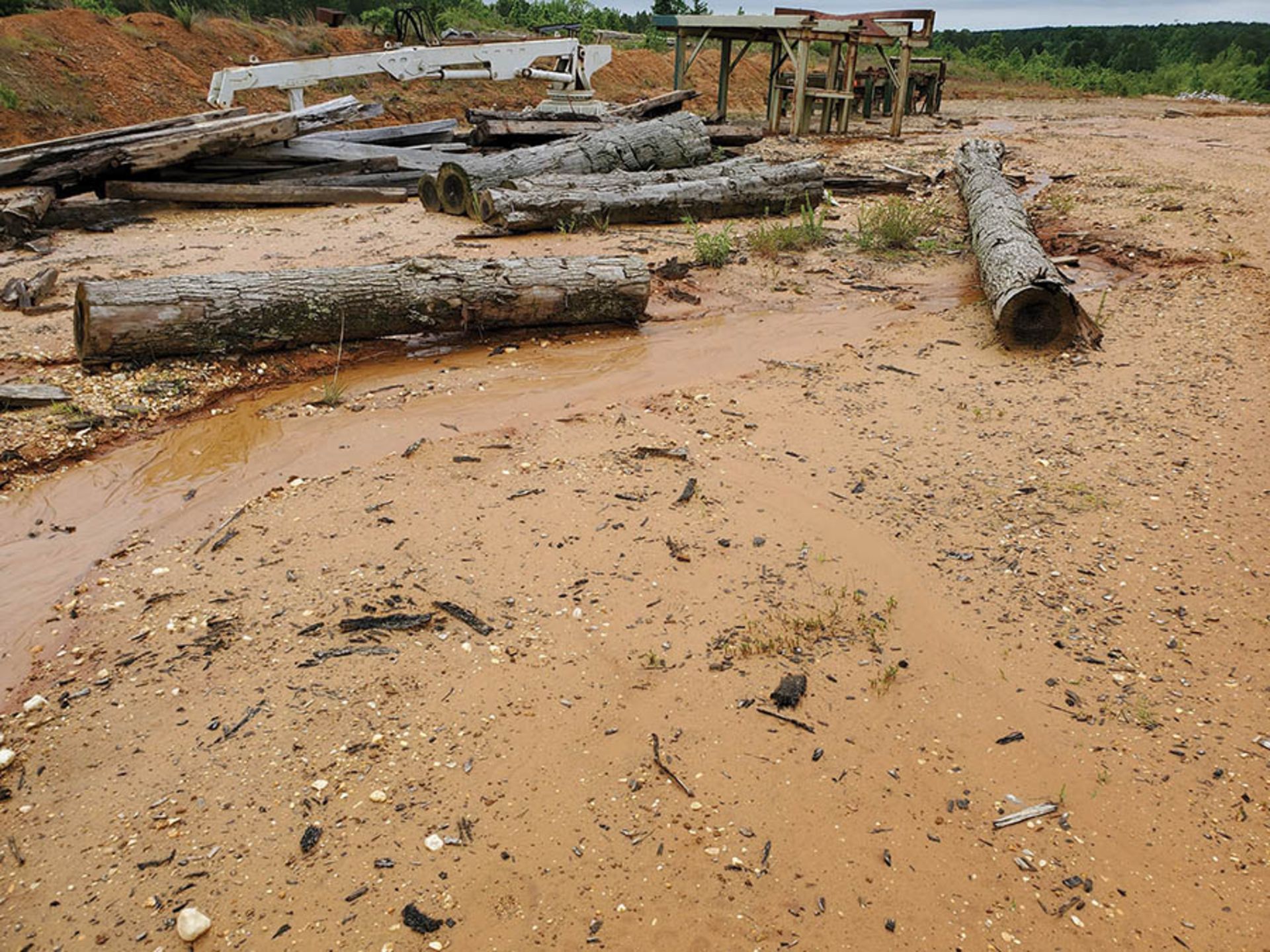 REMAINING WOOD ON PROPERTY - STUMPS, LOGS, CUT OFFS - Image 13 of 16