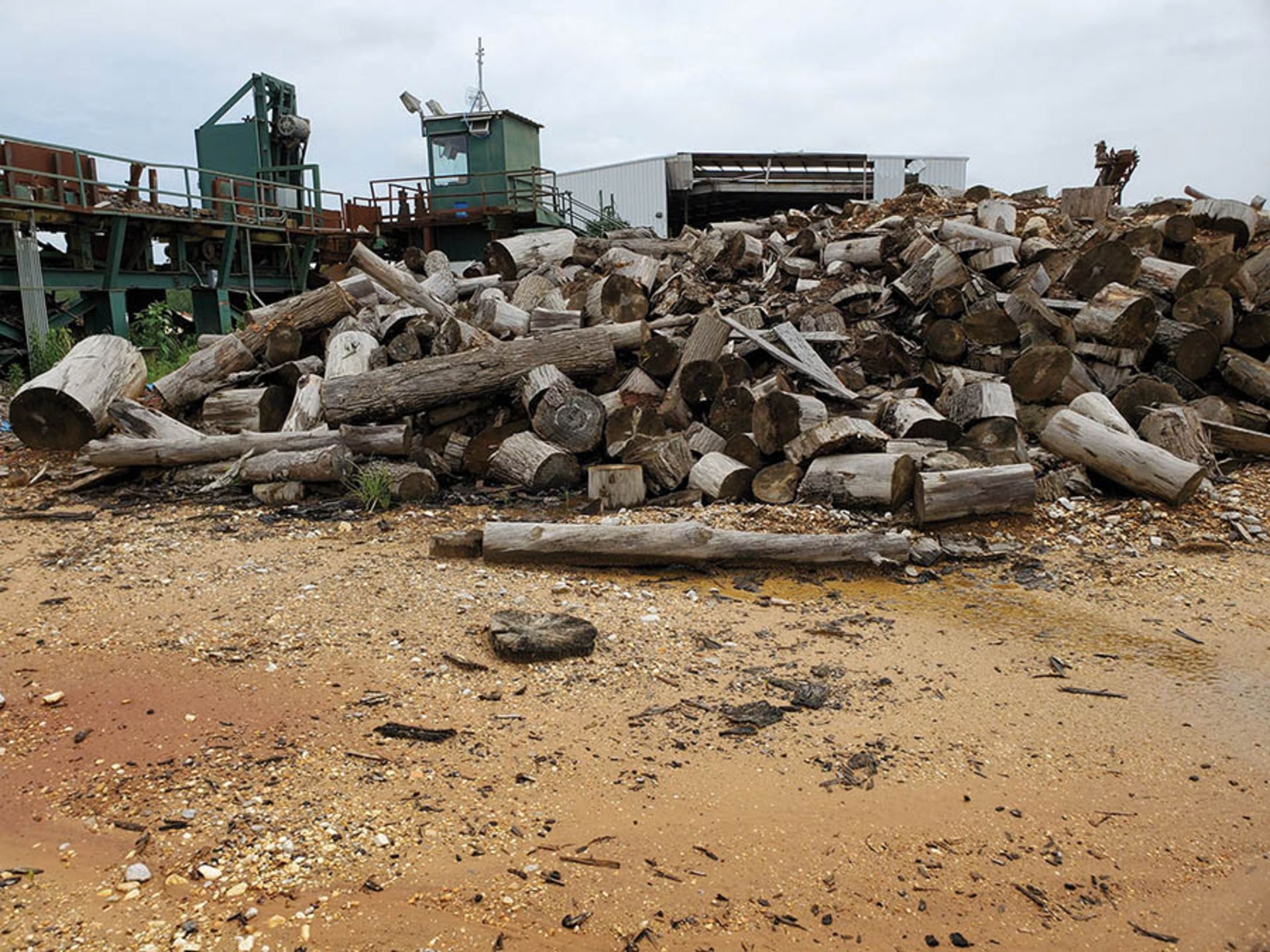 REMAINING WOOD ON PROPERTY - STUMPS, LOGS, CUT OFFS - Image 9 of 16