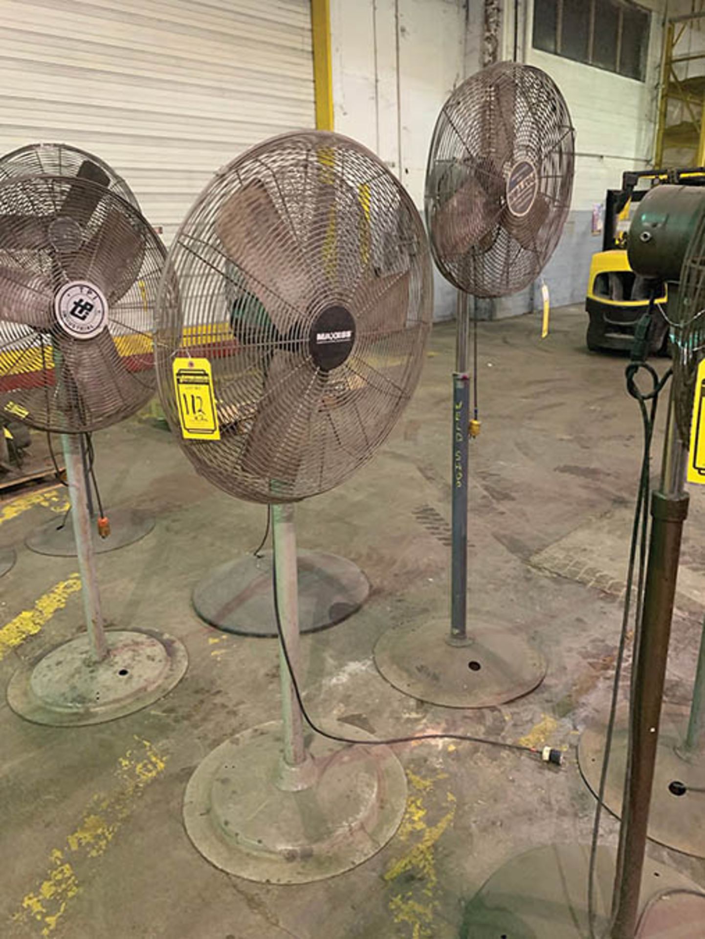 (2) PEDESTAL FANS