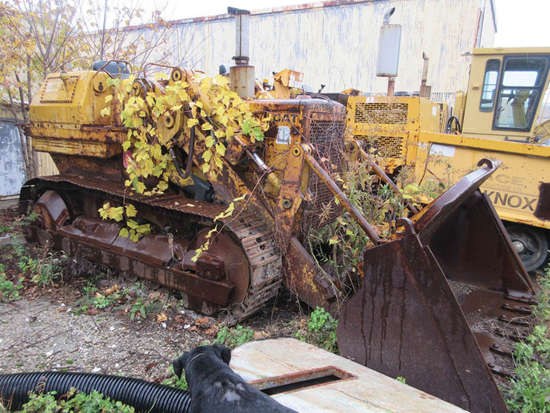 CATERPILLAR 955L TRACK LOADER, 15'' W. TRACKS, 86'' W. ROCK BUCKET - Image 2 of 8