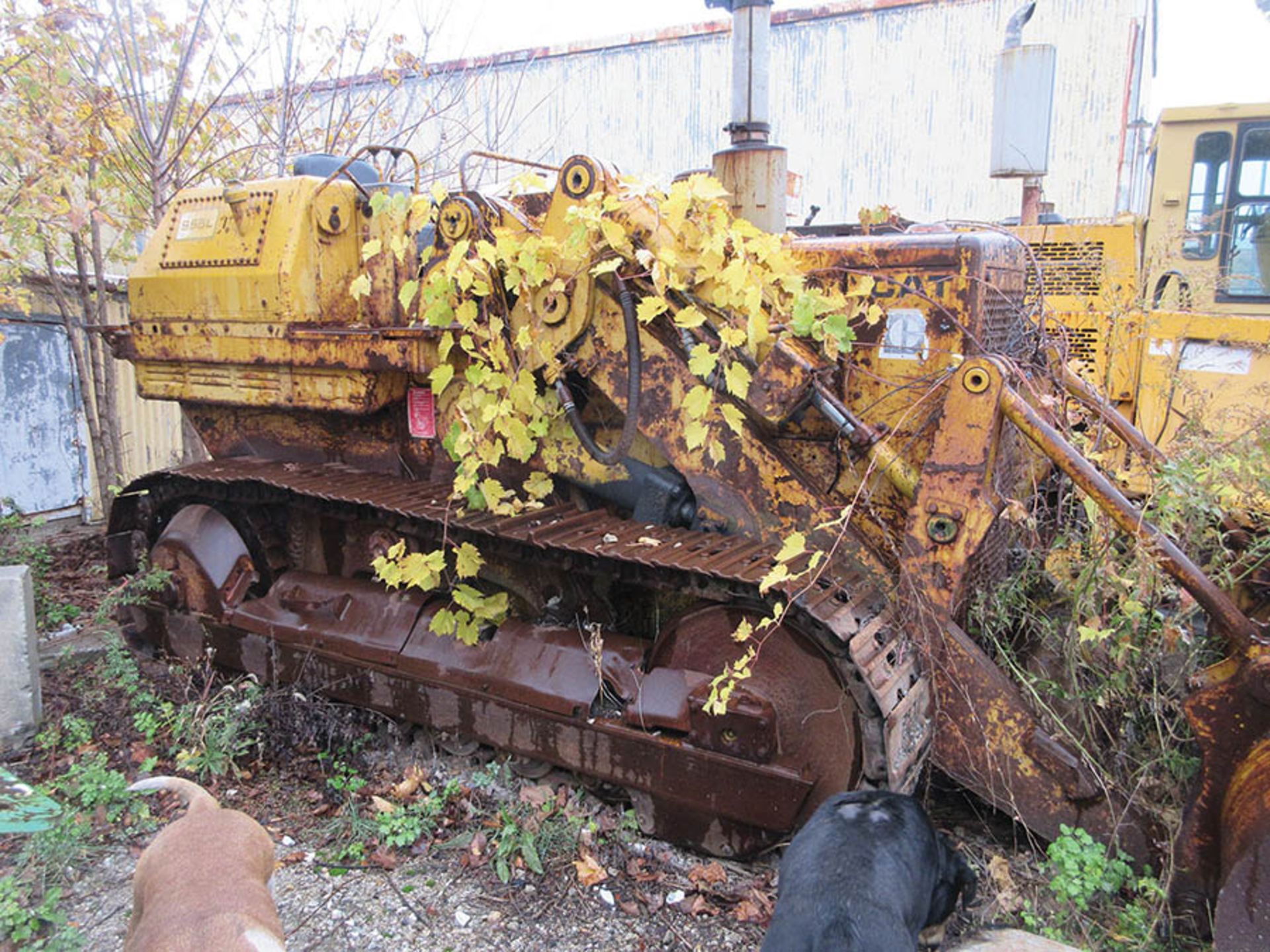 CATERPILLAR 955L TRACK LOADER, 15'' W. TRACKS, 86'' W. ROCK BUCKET - Image 4 of 8