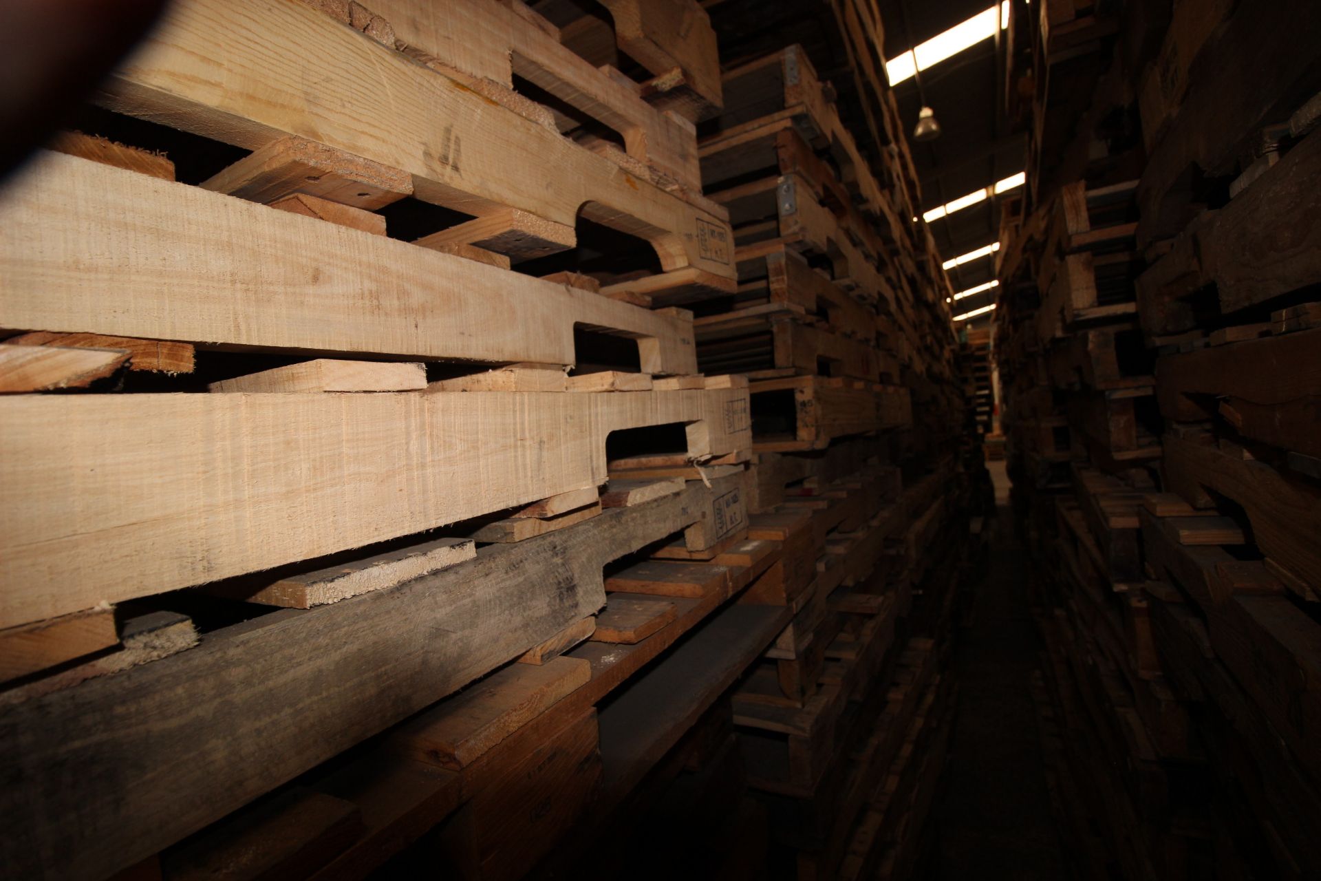 Tarimas de madera para estiba de 1.0 x 1.2 m. aprox. 150 pzas. - Image 9 of 9