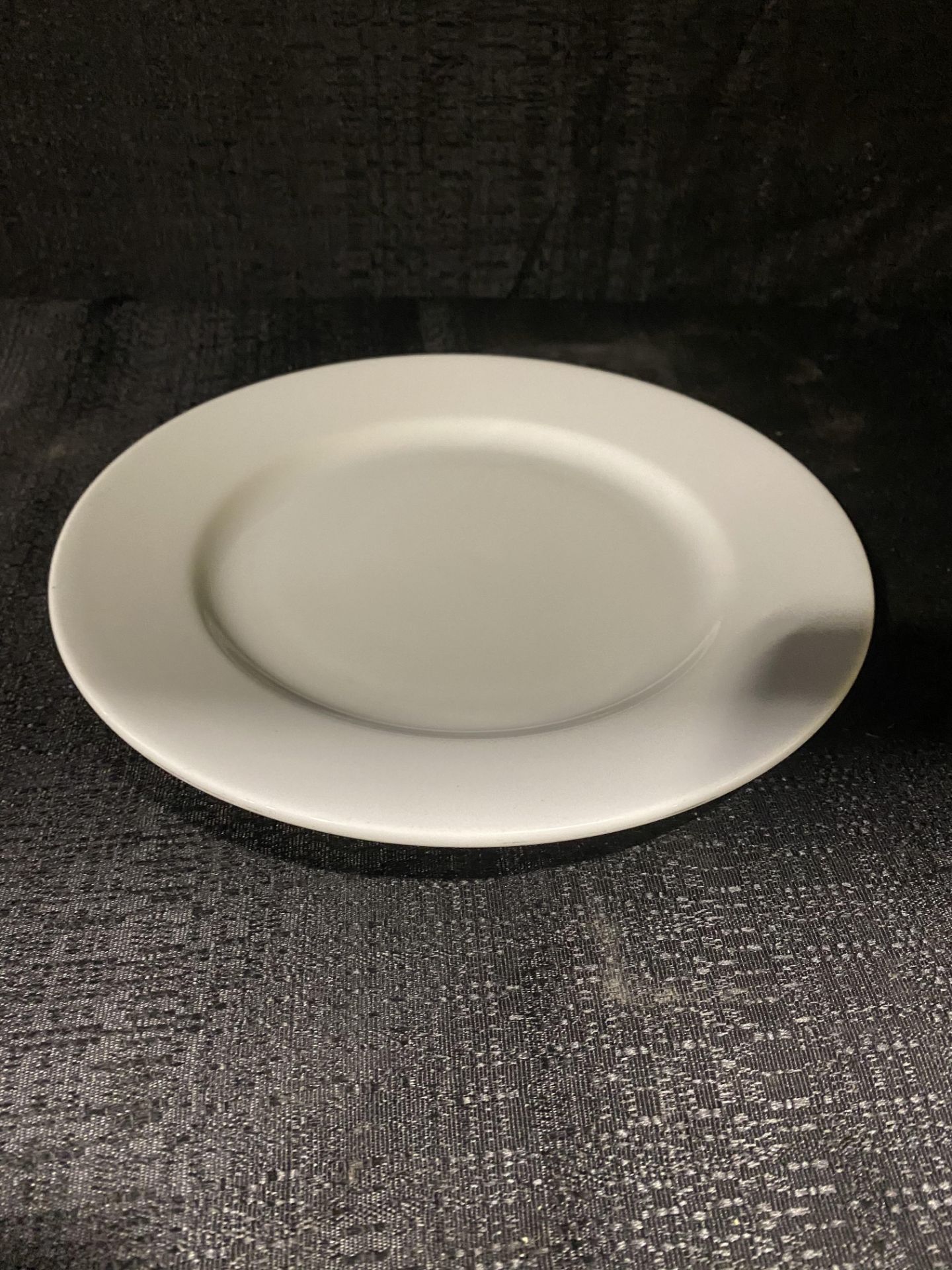(50) 9.5" Salad/Dessert Plates White China Sant Andrea (BRING PACKING MATERIAL)