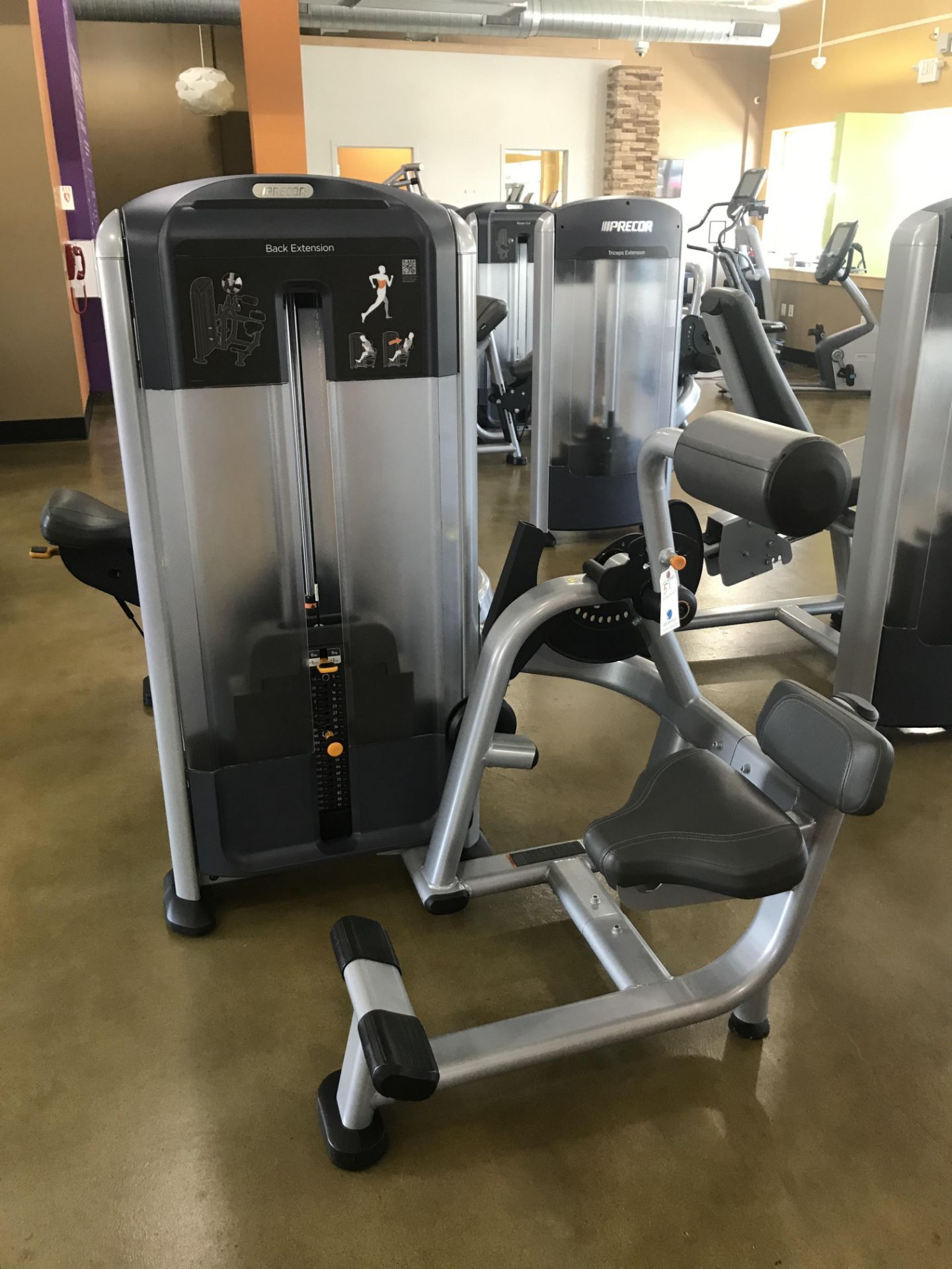 Precor Discovery Series Selectorized Line Back Extensions Model DSL0313 S/N BA66C30160001