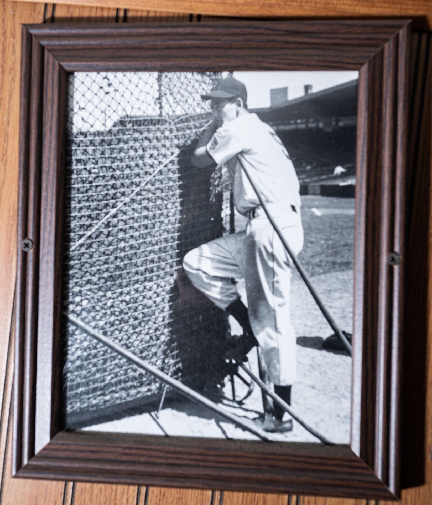 Wood Framed Ted Williams Picture, 12"x10"