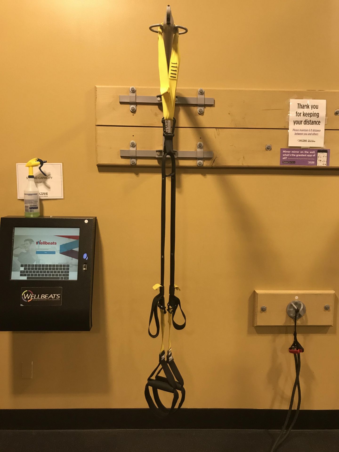 TRX Wall Mounted Suspension Trainer w/Multimount (BUYER MUST REMOVE FROM WALL IN WORKMAN LIKE MANNER