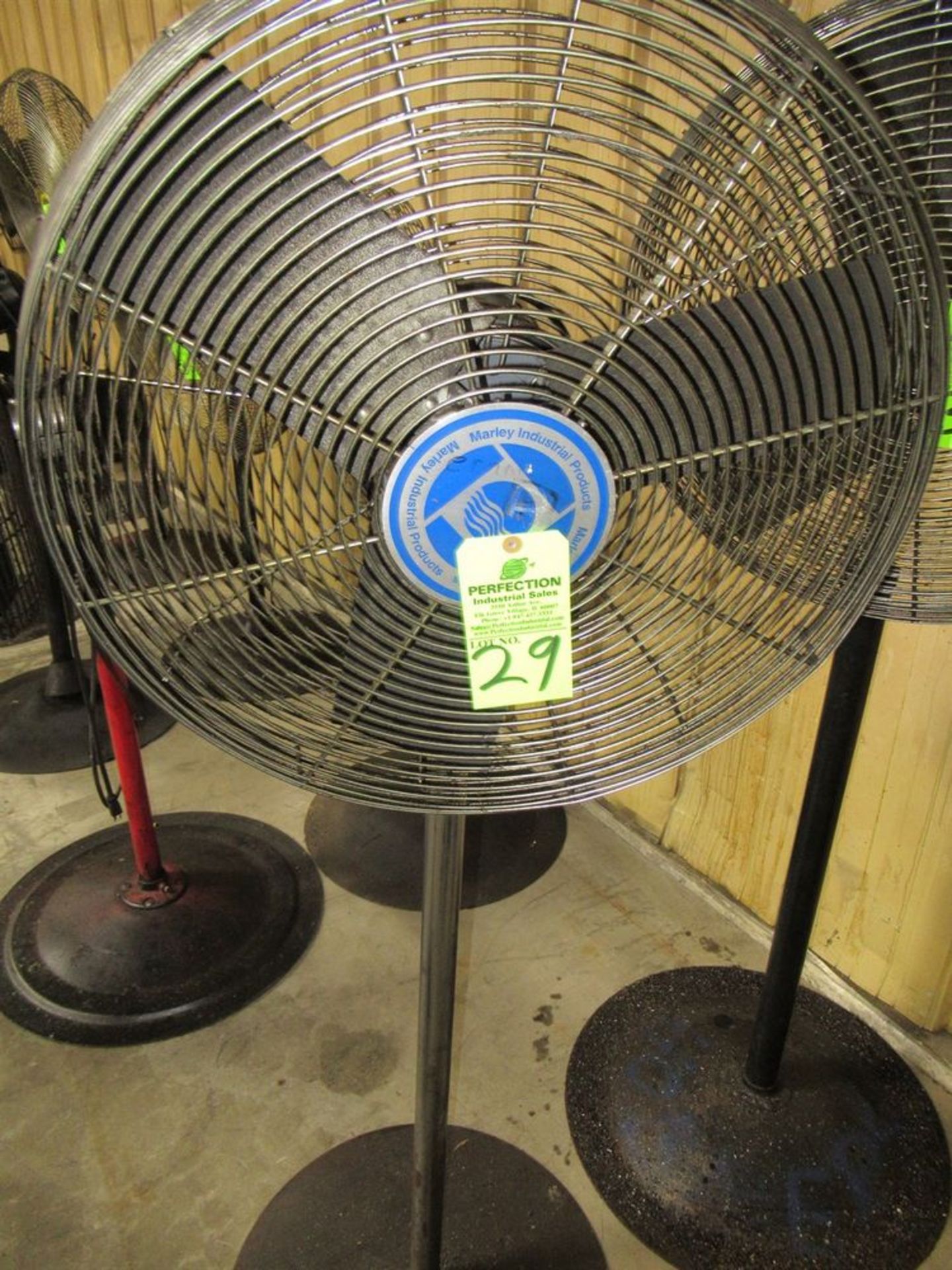 Marley 24" Pedestal Fan