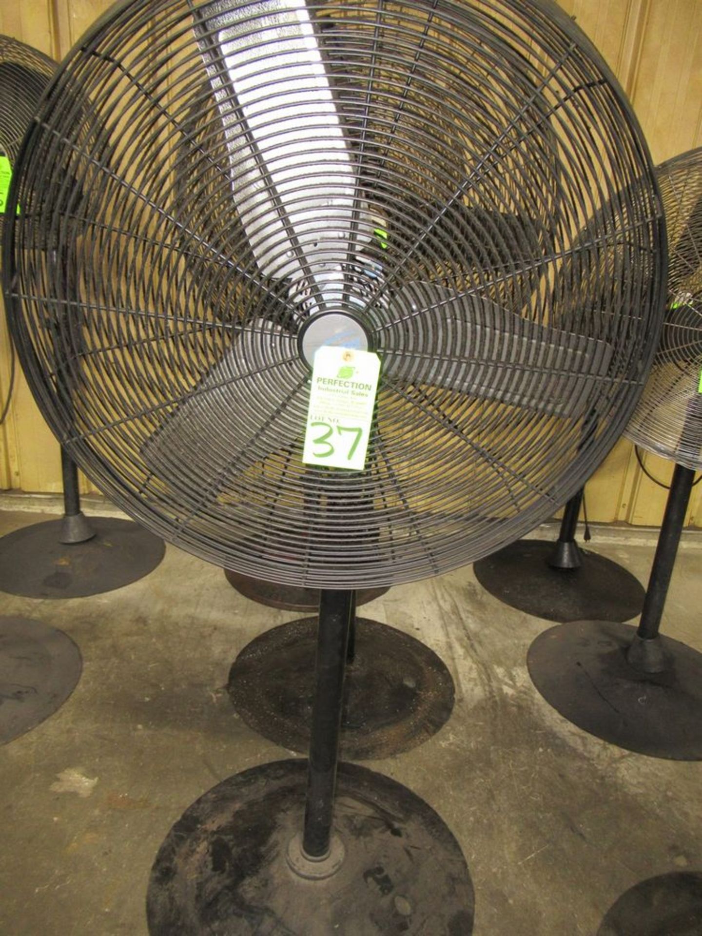 30" Pedestal Fan