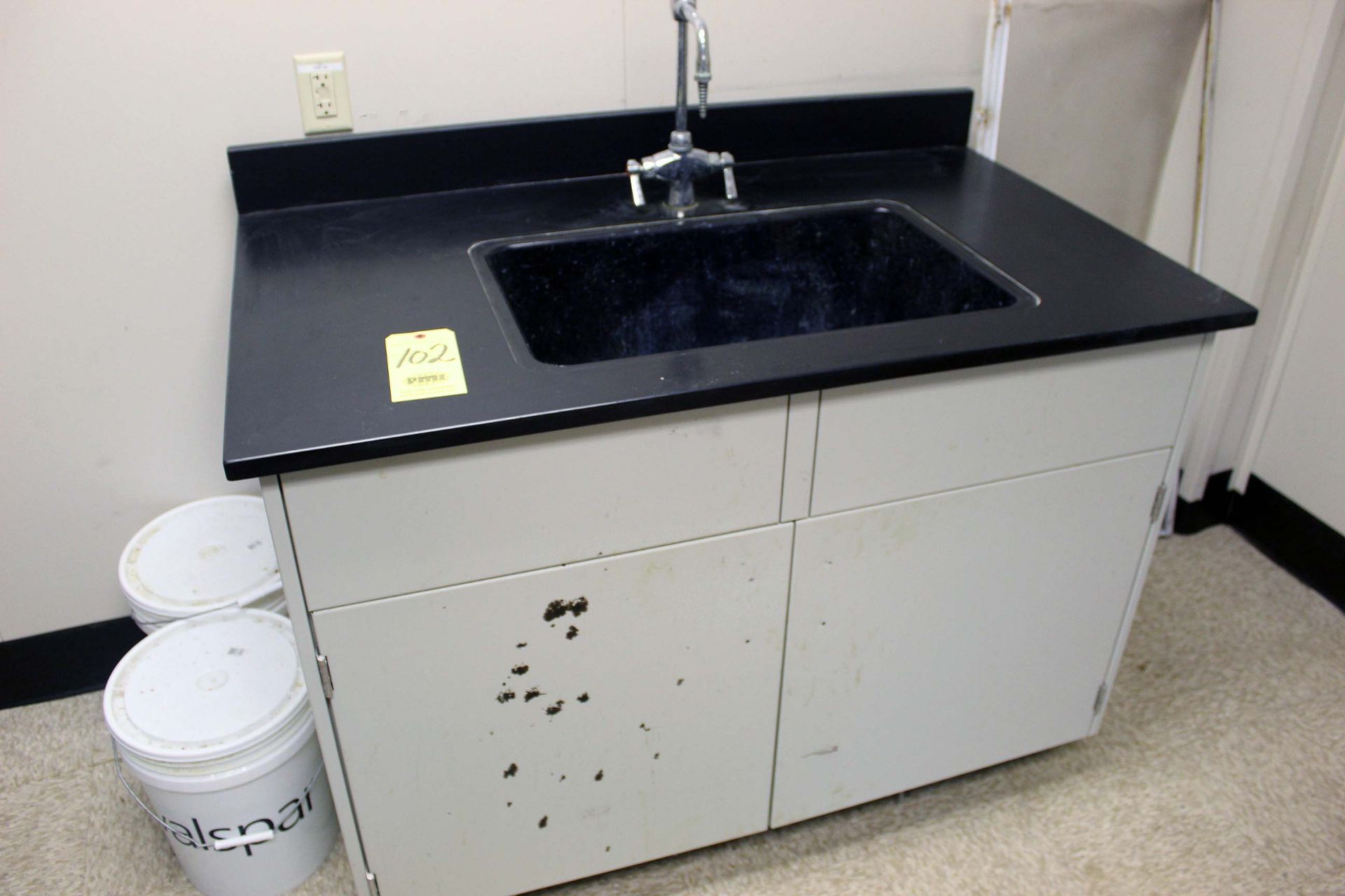 LABORATORY SINK (Pasadena)