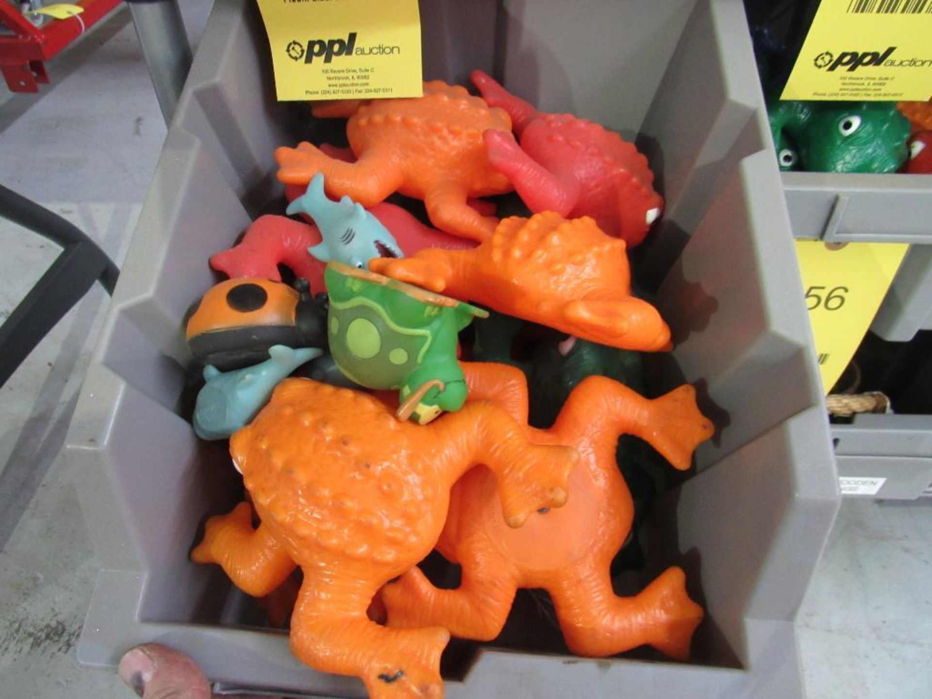 LOT: Frogs (Contents Only)