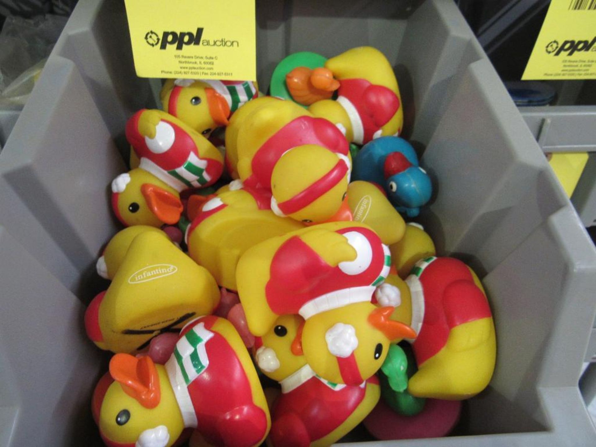 LOT: Ducks